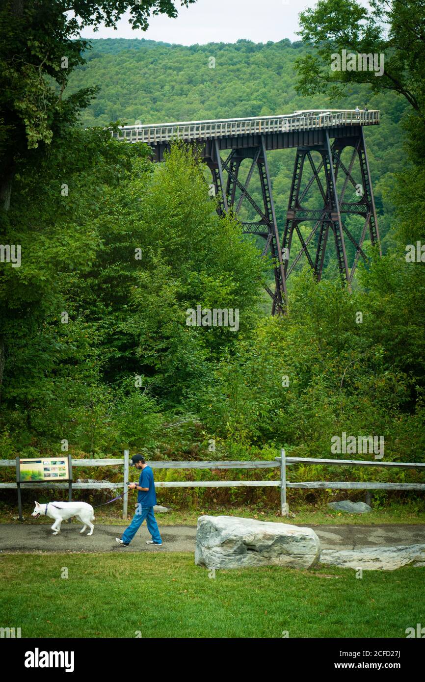 Kinzua Bridge state Park, contea di McKean, Pennsylvania, Stati Uniti Foto Stock
