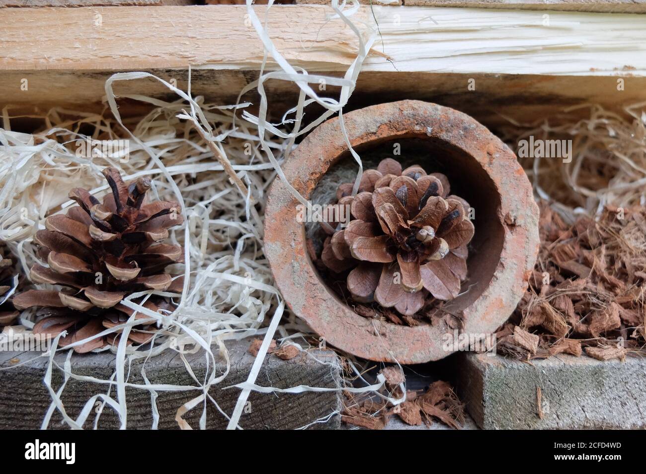 Grande albergo per insetti fatto di pallet, pietre forate, con lana di legno e coni, dettaglio Foto Stock