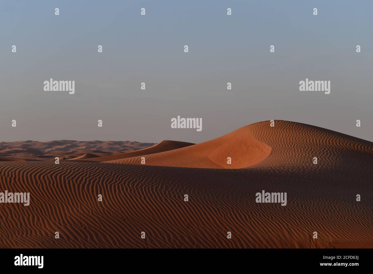 Le dune di sabbia del deserto della Penisola Araba sono contornate in forme e dimensioni diverse dai mutevoli venti dei paesaggi desertici. Foto Stock