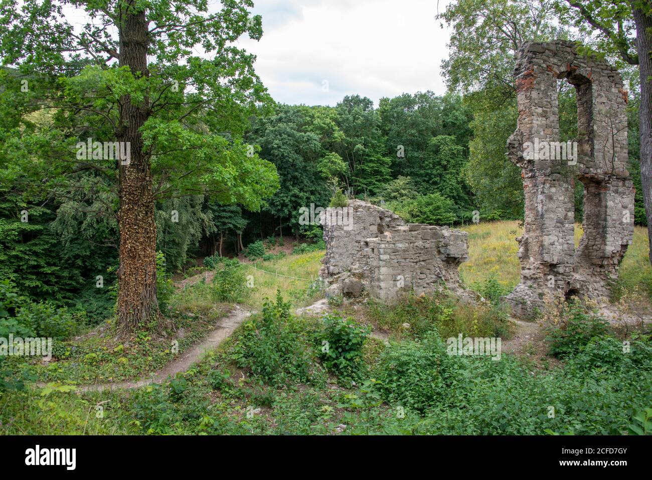 Germania, Sassonia-Anhalt, Stecklenberg, rovine del castello medievale di Stecklenburg nei monti Harz. Foto Stock