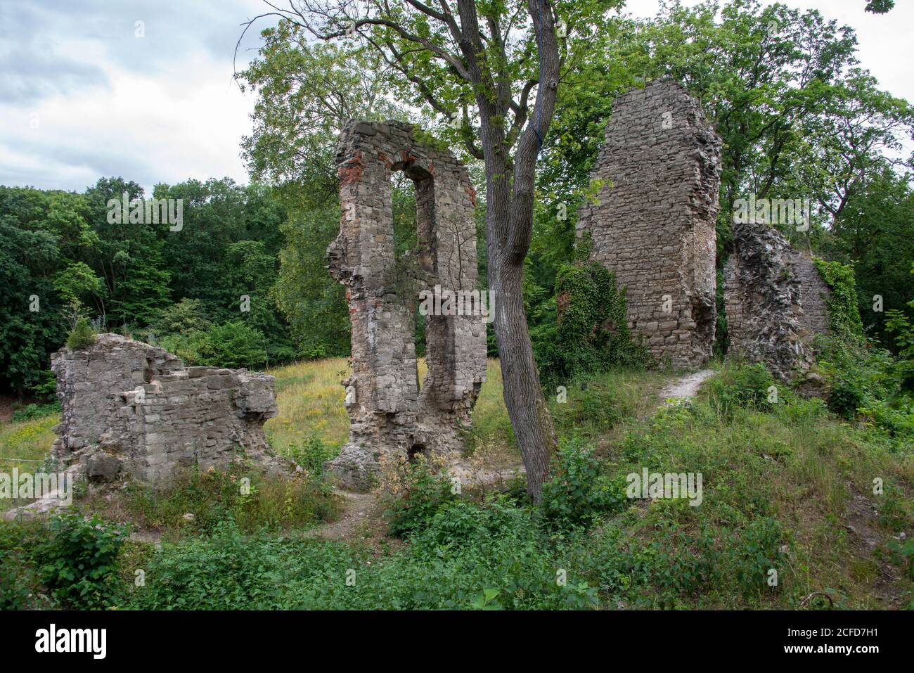 Germania, Sassonia-Anhalt, Stecklenberg, rovine del castello medievale di Stecklenburg nei monti Harz. Foto Stock