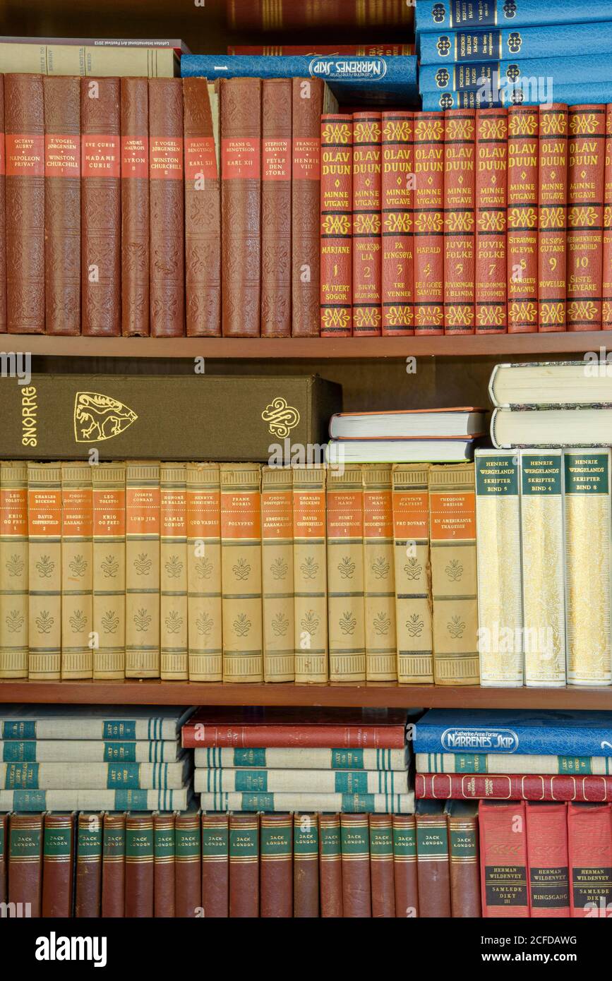 Bookshelf con libri antichi, vista interna dettaglio soggiorno tradizionale norvegese casa in legno, Nordland, Norvegia Foto Stock