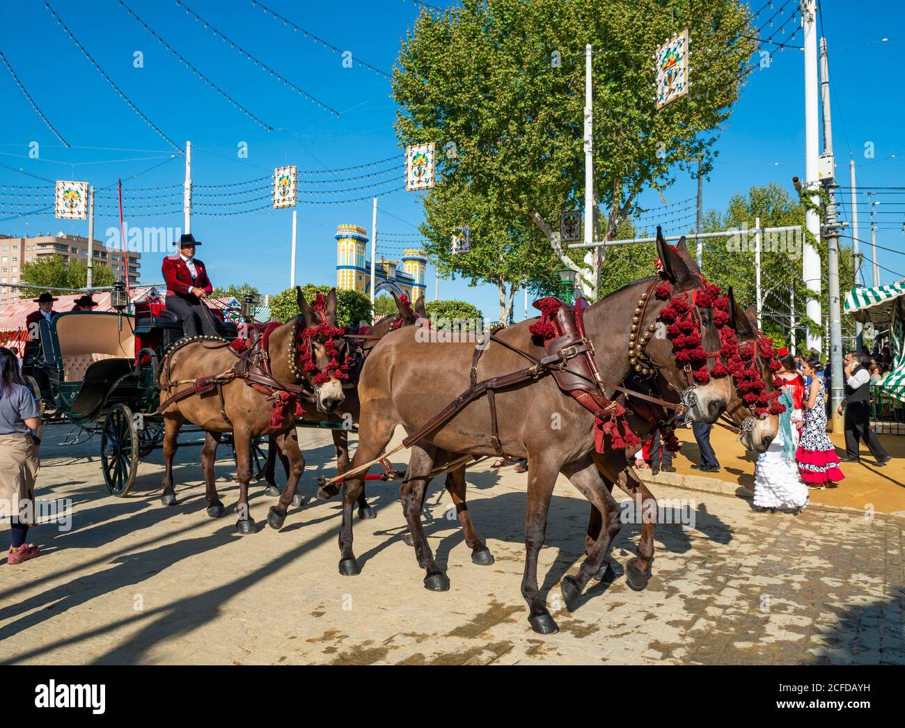Carrozza trainata da cavalli decorata, quattro in mano, Feria de Abril, Siviglia, Andalusia, Spagna Foto Stock