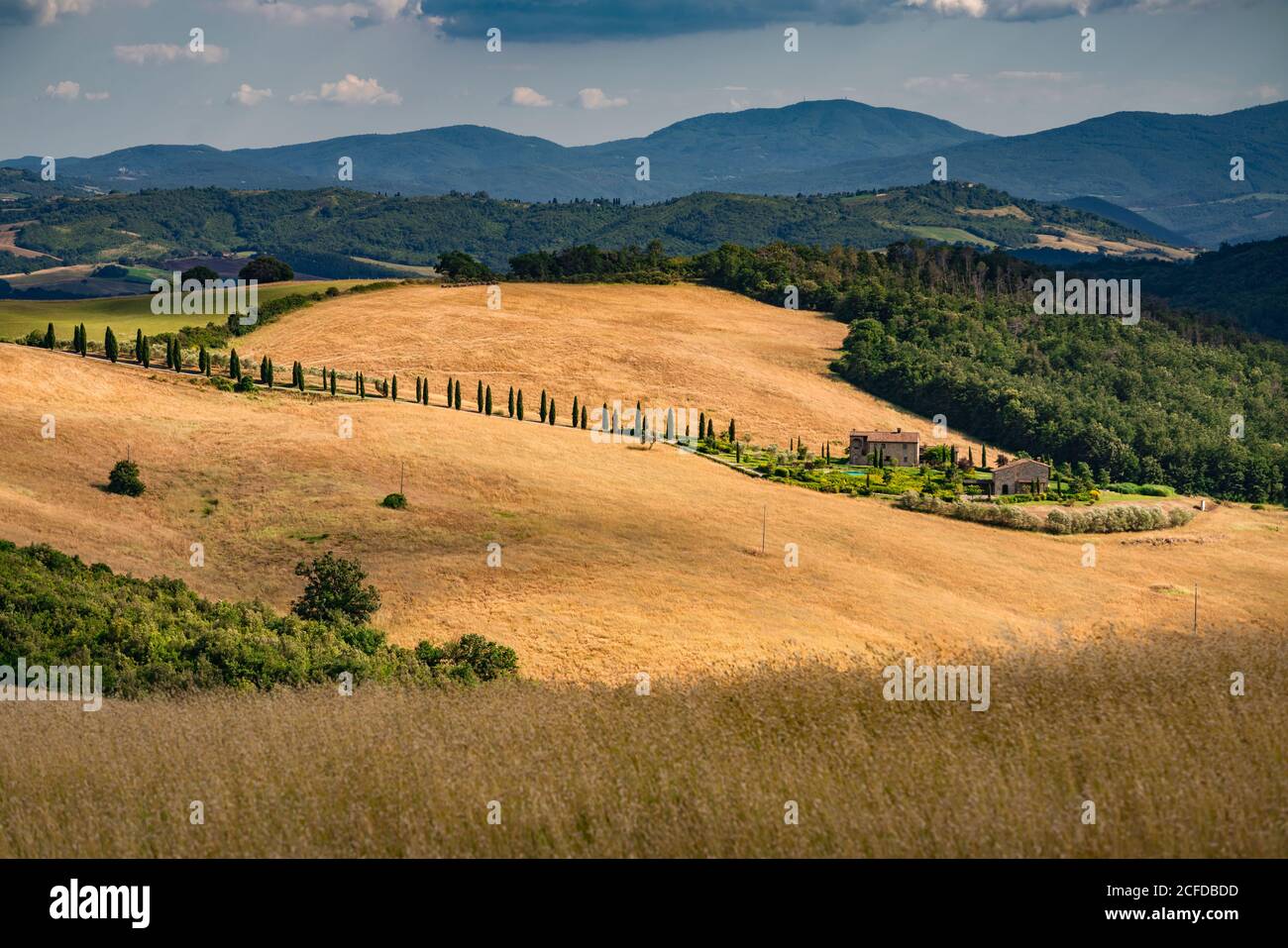 Europa, Italia, strada Provinciale 27, Casole d'Elsa, Toscana, Foto Stock