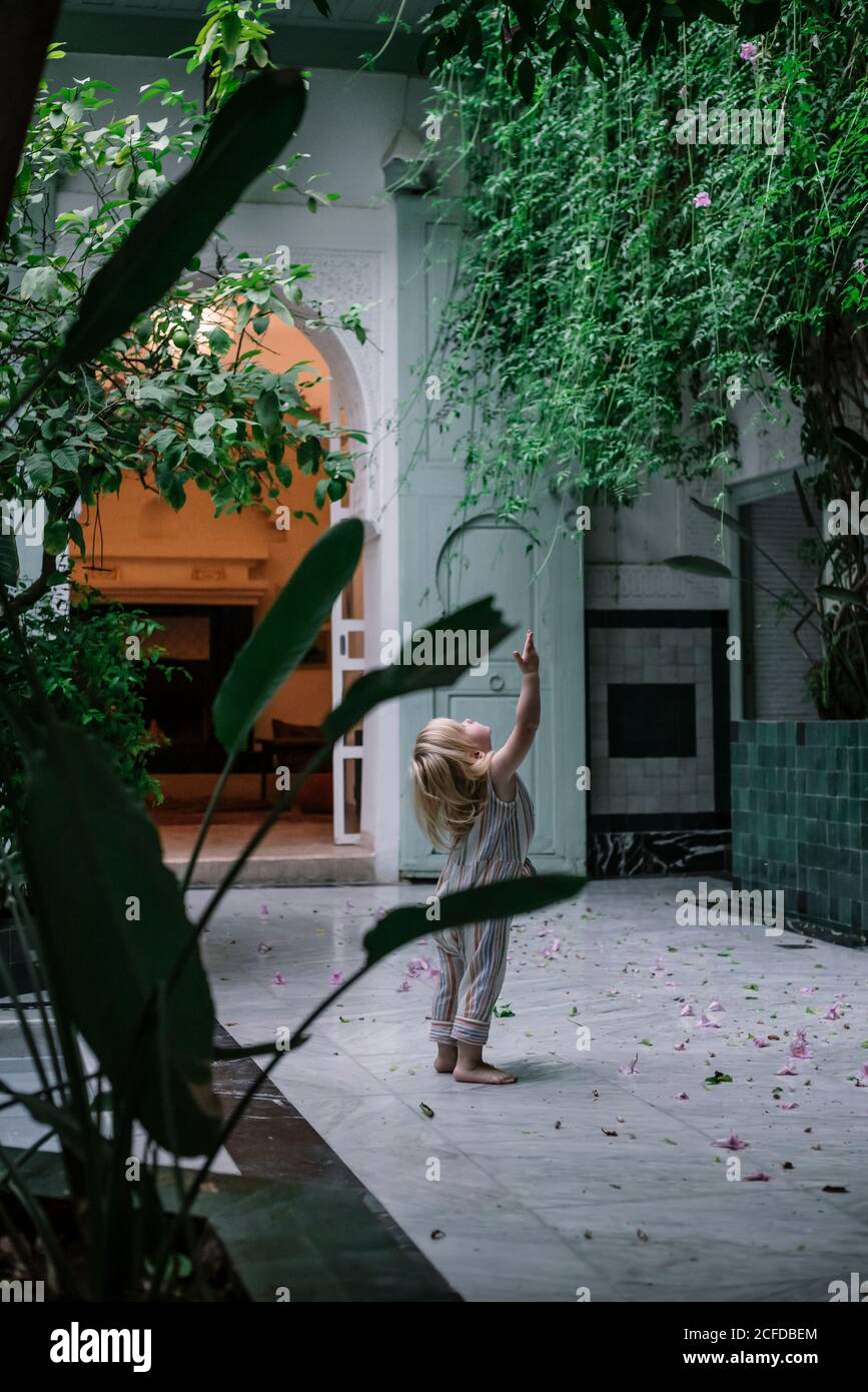 Marrakech, Marocco - Ottobre, 22, 2018: Vista posteriore del bambino biondo senza volto in piedi in veranda e raggiungere per grandi piante verdi Foto Stock