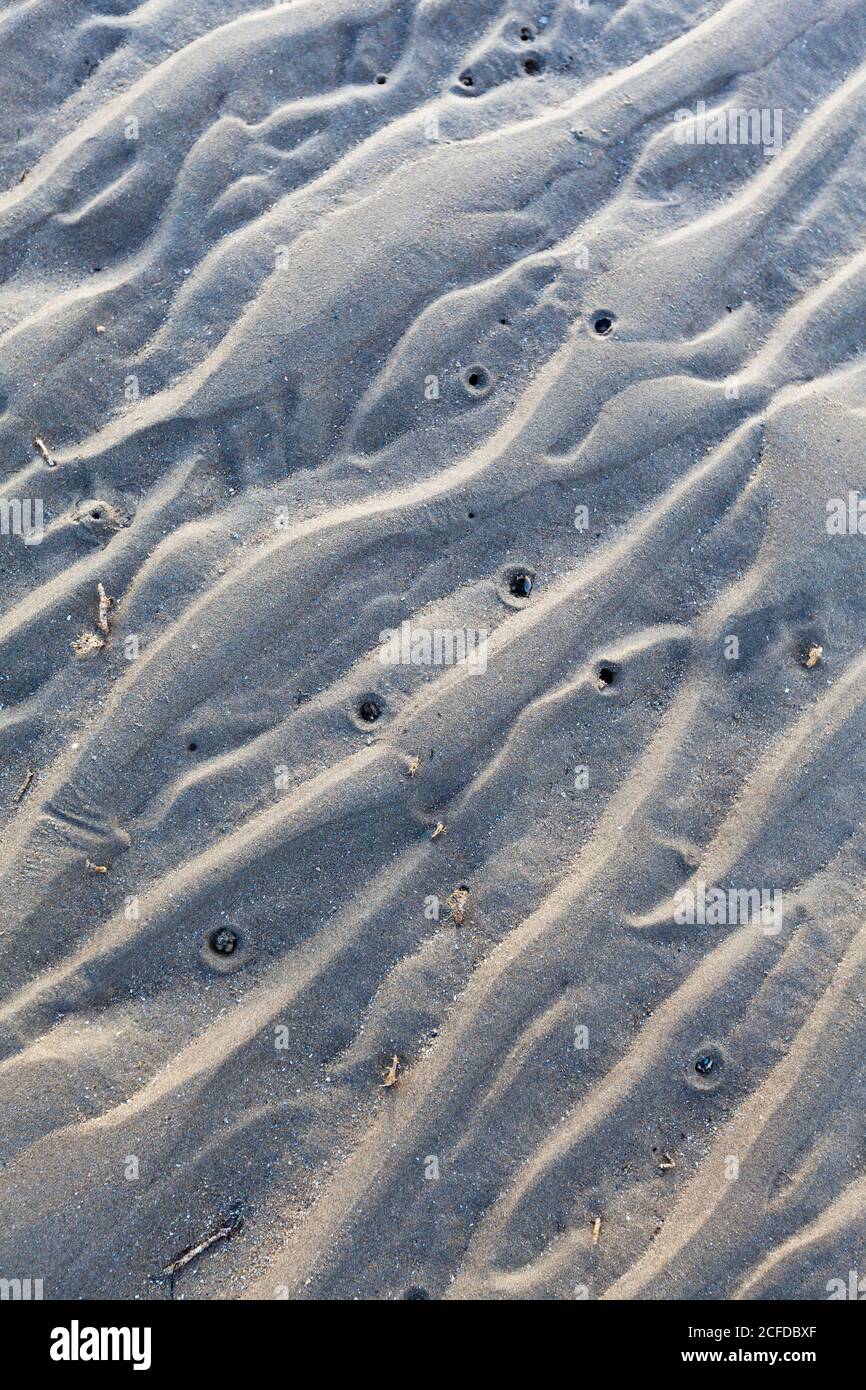 Fondale marino sulla spiaggia a bassa marea - a forma di acqua motivi ondulati nella sabbia Foto Stock