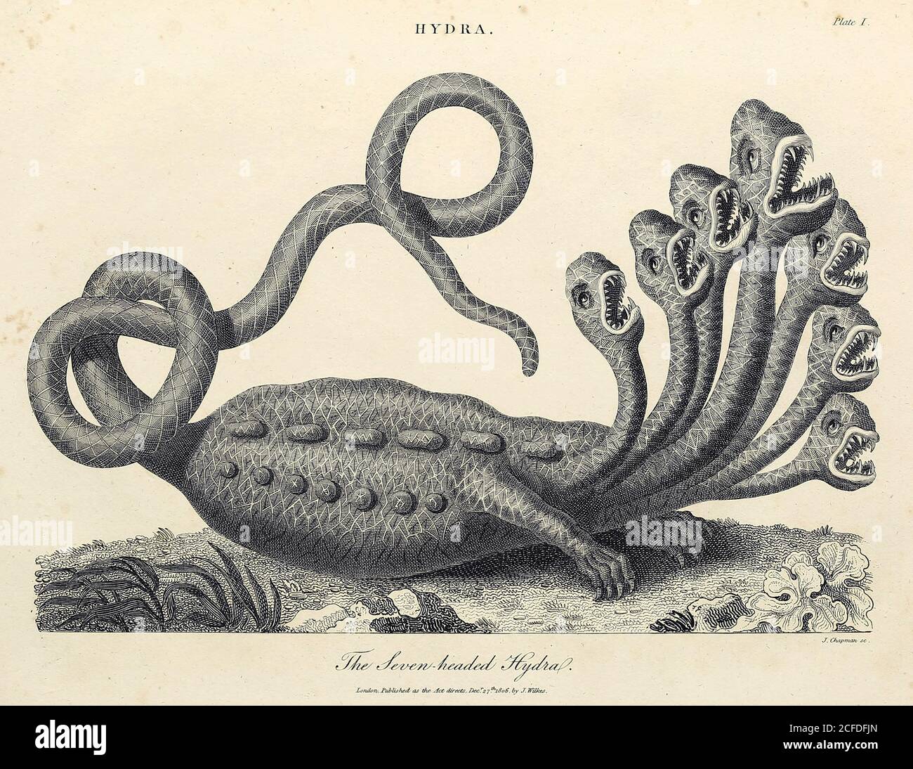 Sette Headed Hydra di J. Chapman Copperplate incisione dall'Encyclopedia Londinensis OR, dizionario universale di arti, scienze e letteratura; Volume X; a cura di Wilkes, John. Pubblicato a Londra nel 1811 Foto Stock