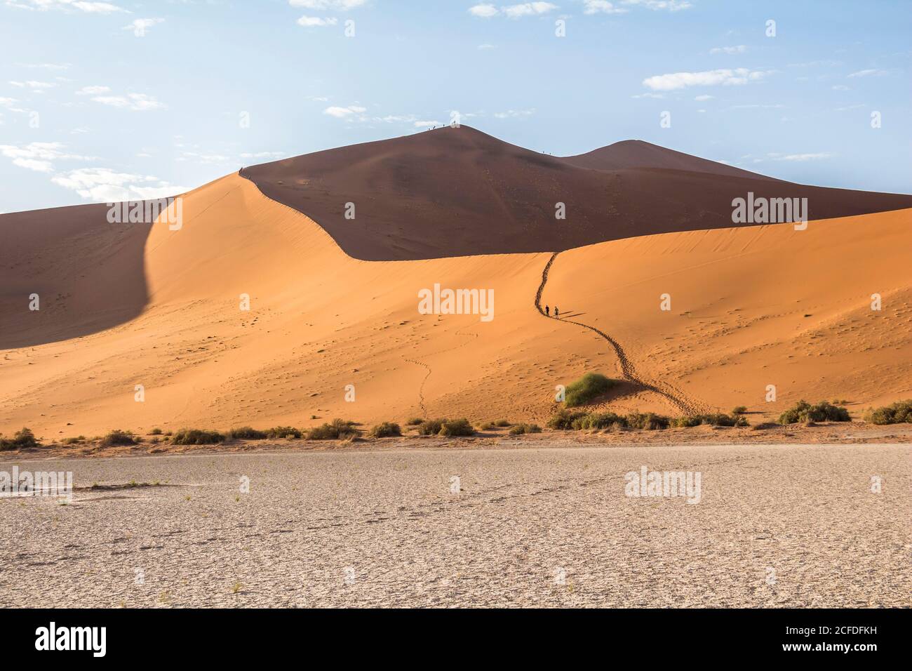 Percorso per la Grande Duna Daddy a Sossusvlei alla luce del mattino, Sesriem, Namibia Foto Stock