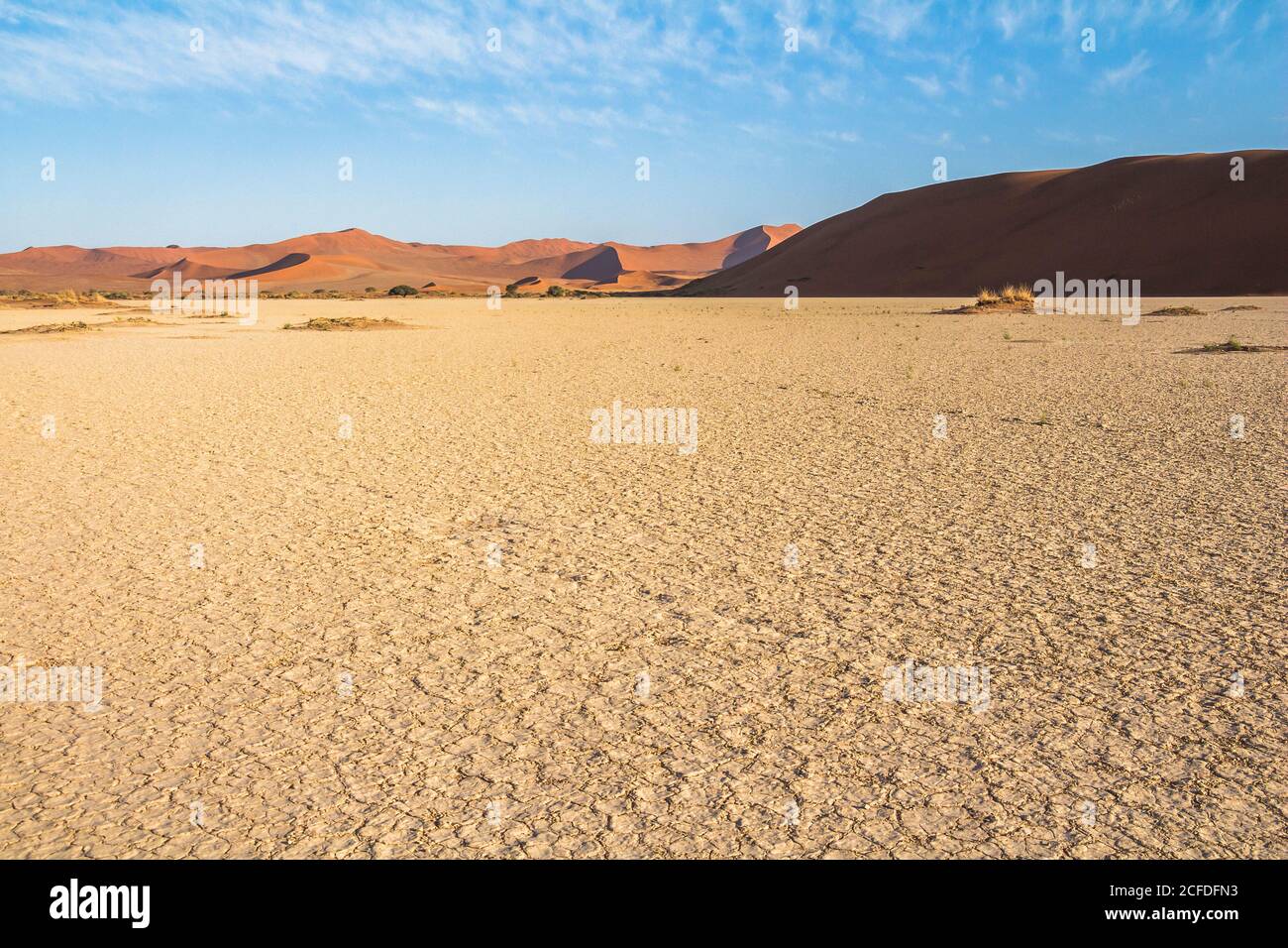Percorso per la Grande Duna Daddy a Sossusvlei alla luce del mattino, Sesriem, Namibia Foto Stock