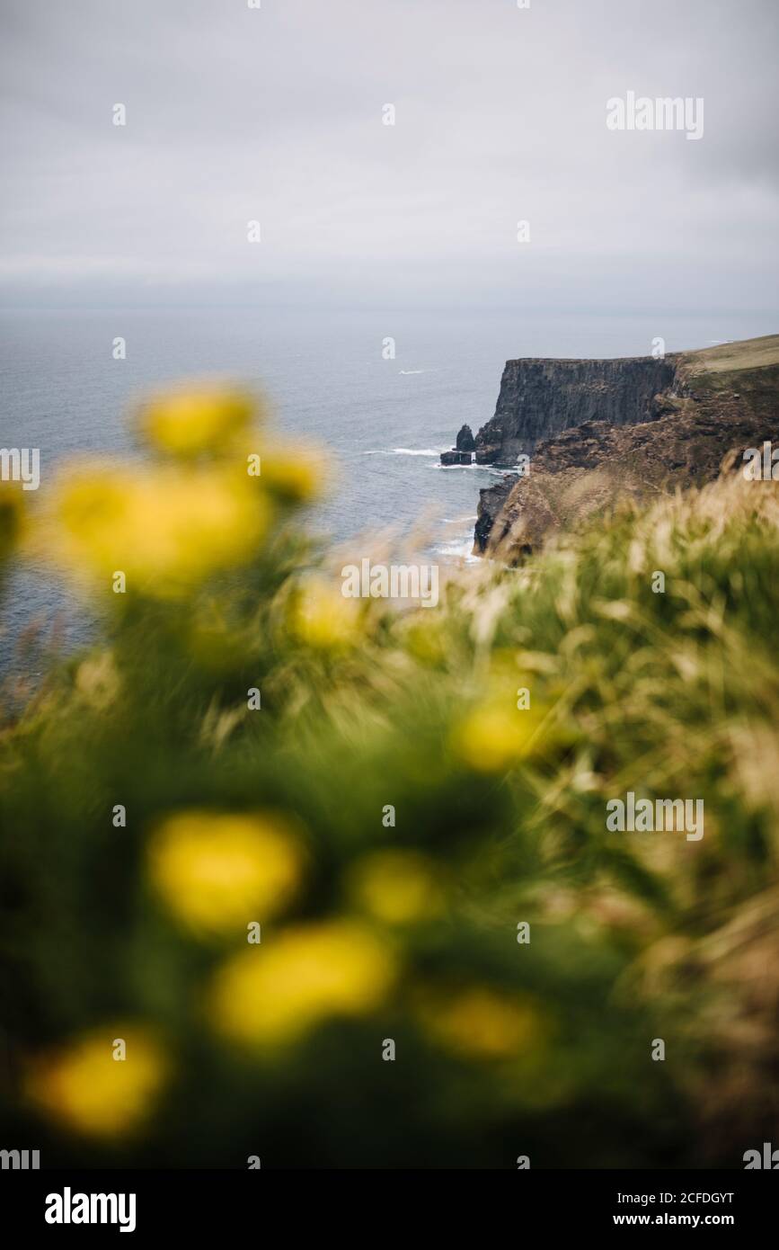 Scogliere di Moher, Irlanda Foto Stock