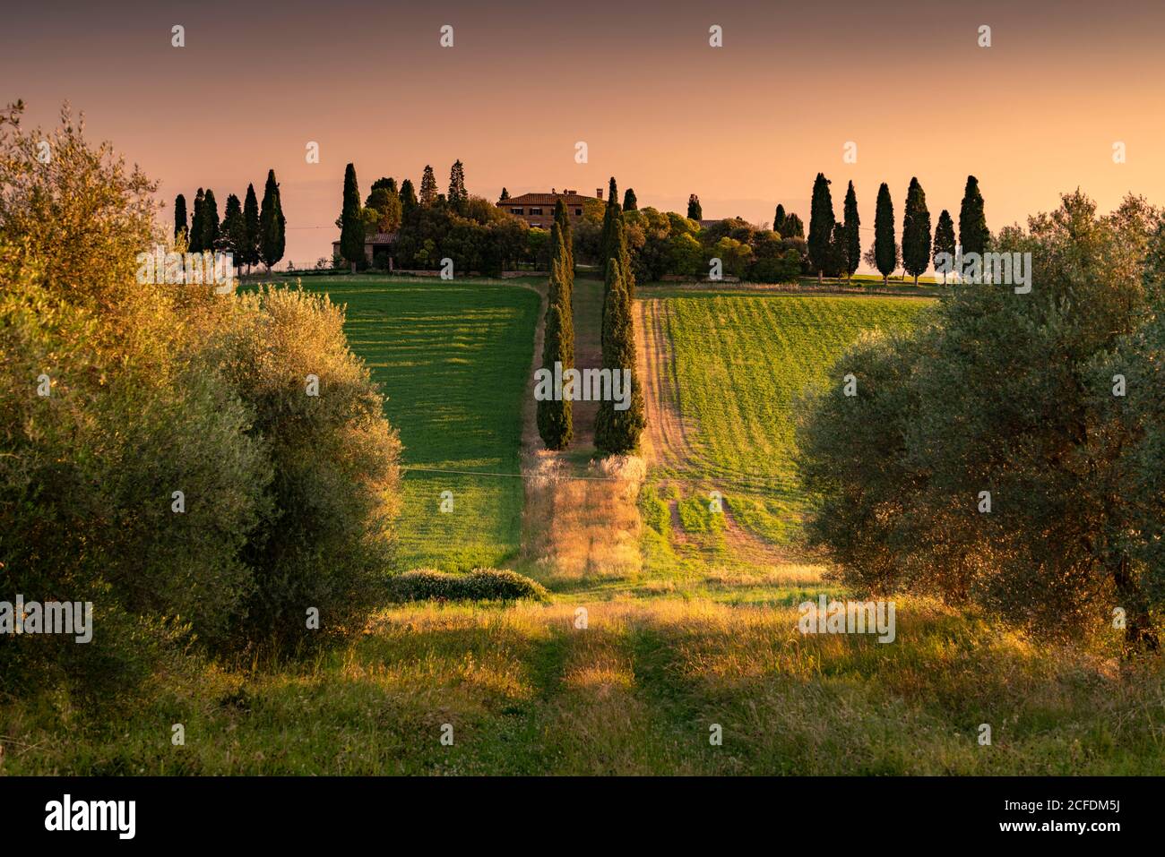 Europa, Italia, Val d'Orcia, San Quirico, Genna Borini Maria Eva, agriturismo, Toscana, paesaggio toscano, Foto Stock