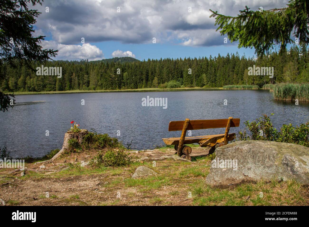 Panca al Stierhüblteich, lago vicino a Karlstift - escursioni intorno a Karlstift, Waldviertel, Austria Foto Stock