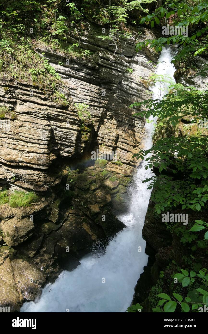 Il flusso d'acqua spara dalle rocce vicino alla sorgente del fiume come una cascata nel profondo Foto Stock