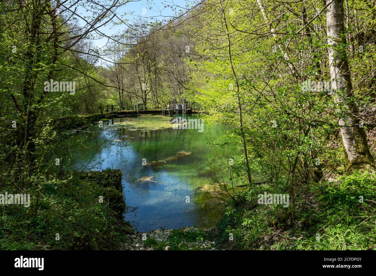 Germania, Baden-Wuerttemberg, Bad Urach - Seeburg, Ermsursprung versione sorgente Karstquelle nel Mühltal. Foto Stock