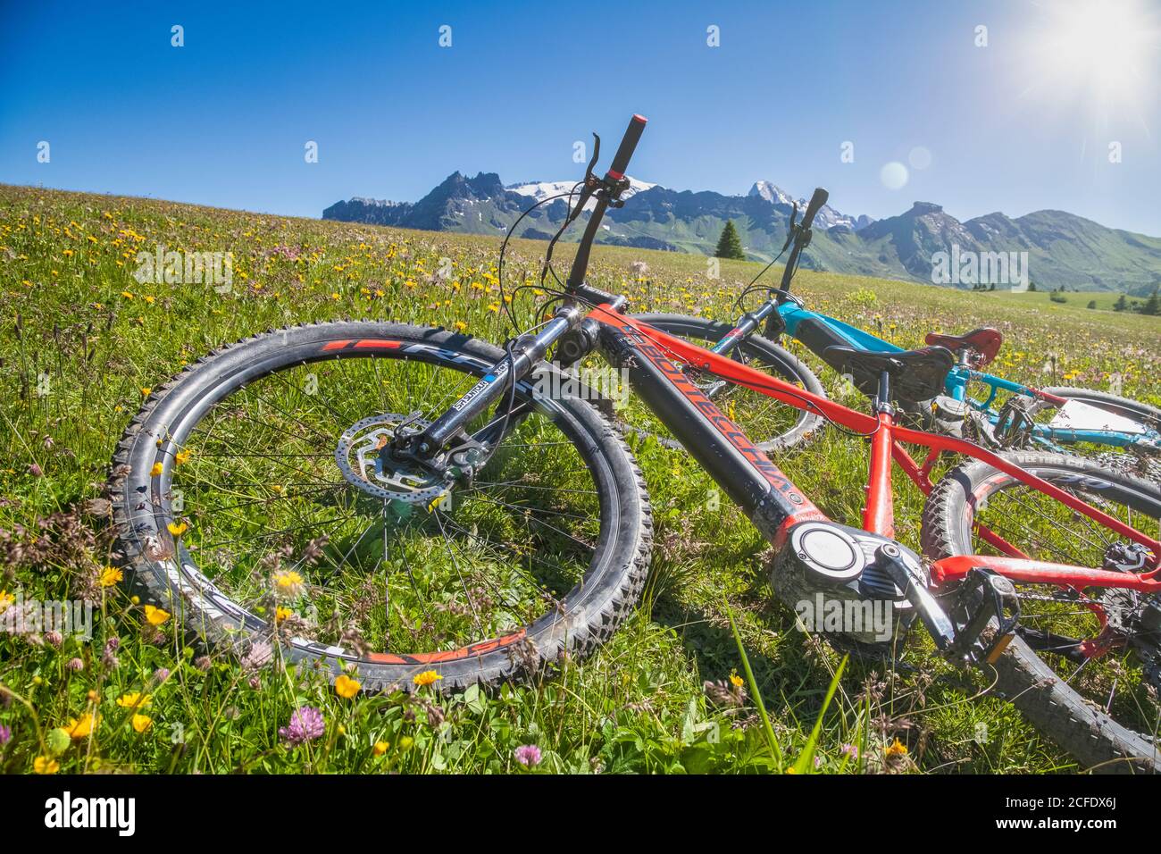 due e bike (pedalò assistito) poggianti sull'erba nei pascoli di pralongià alta badia, corvara, dolomiti, bolzano, alto adige, italia Foto Stock