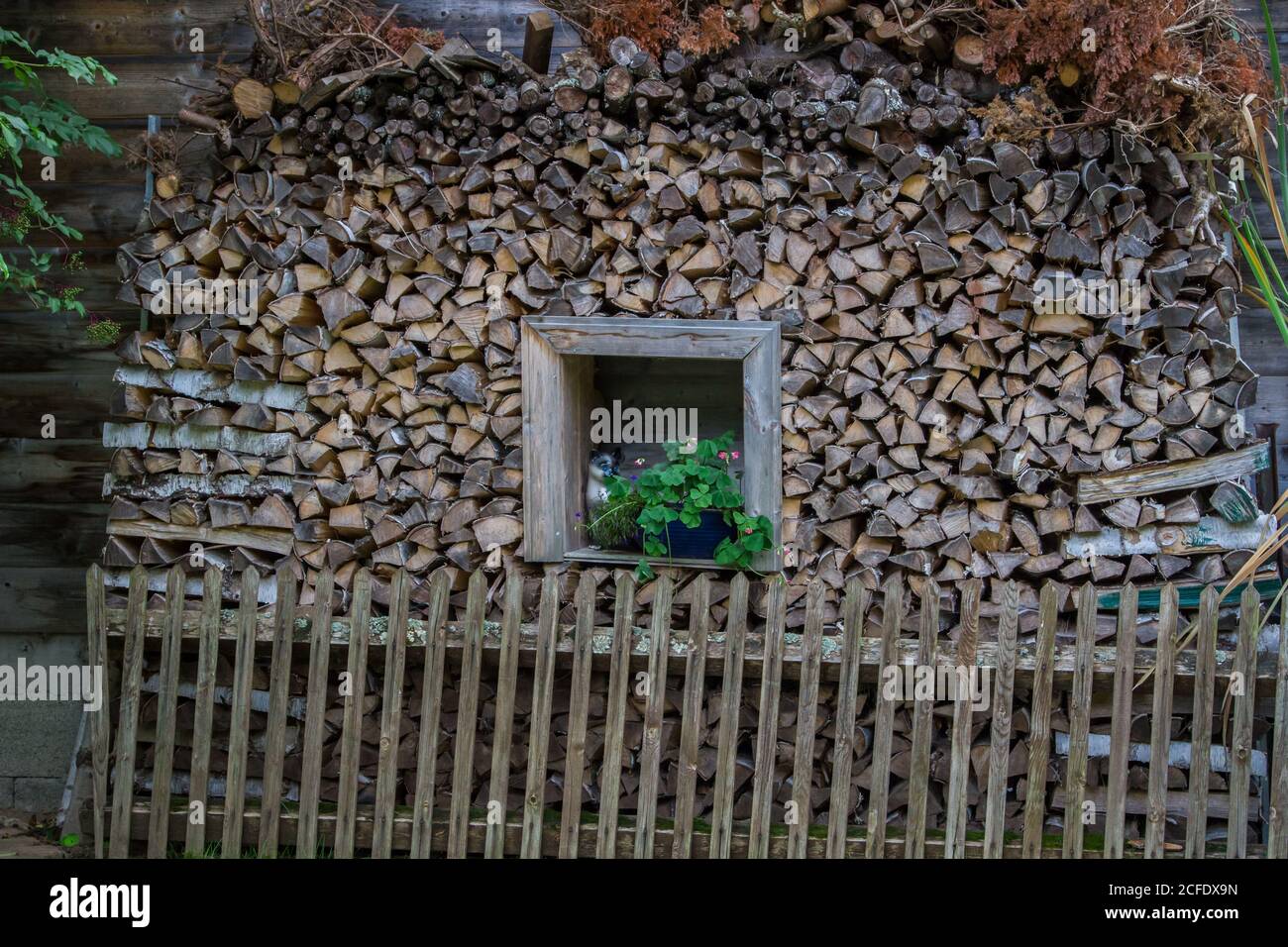 Palo di legno di fronte a una casa - escursioni intorno a Karlstift, Waldviertel, Austria Foto Stock