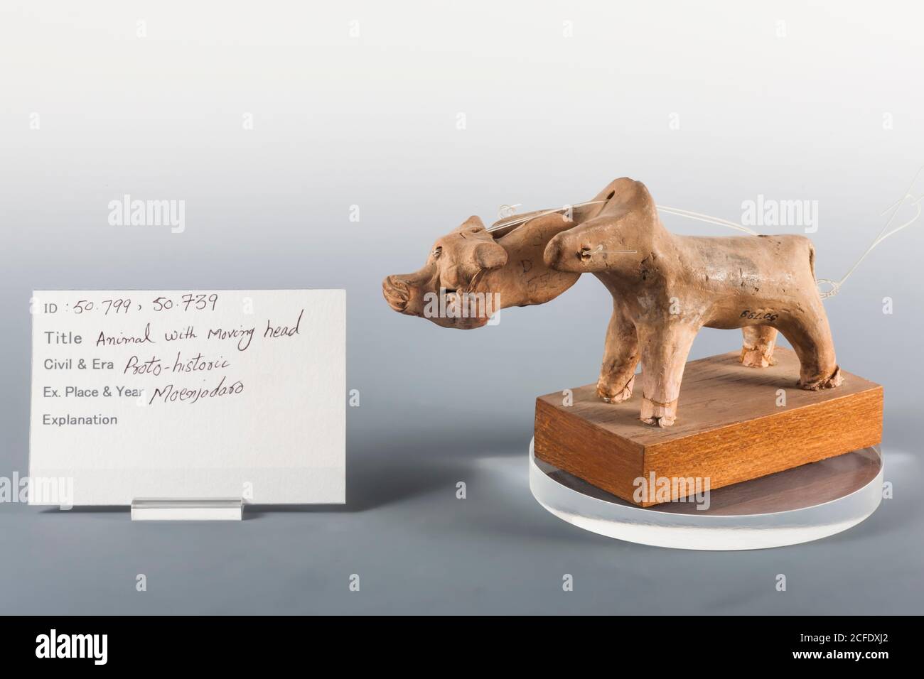 Animale di argilla con testa mobile, Mohenjo daro, Indo Valley Civilization Gallery, Museo Nazionale del Pakistan, Karachi, Sindh, Pakistan, Asia meridionale, Asia Foto Stock