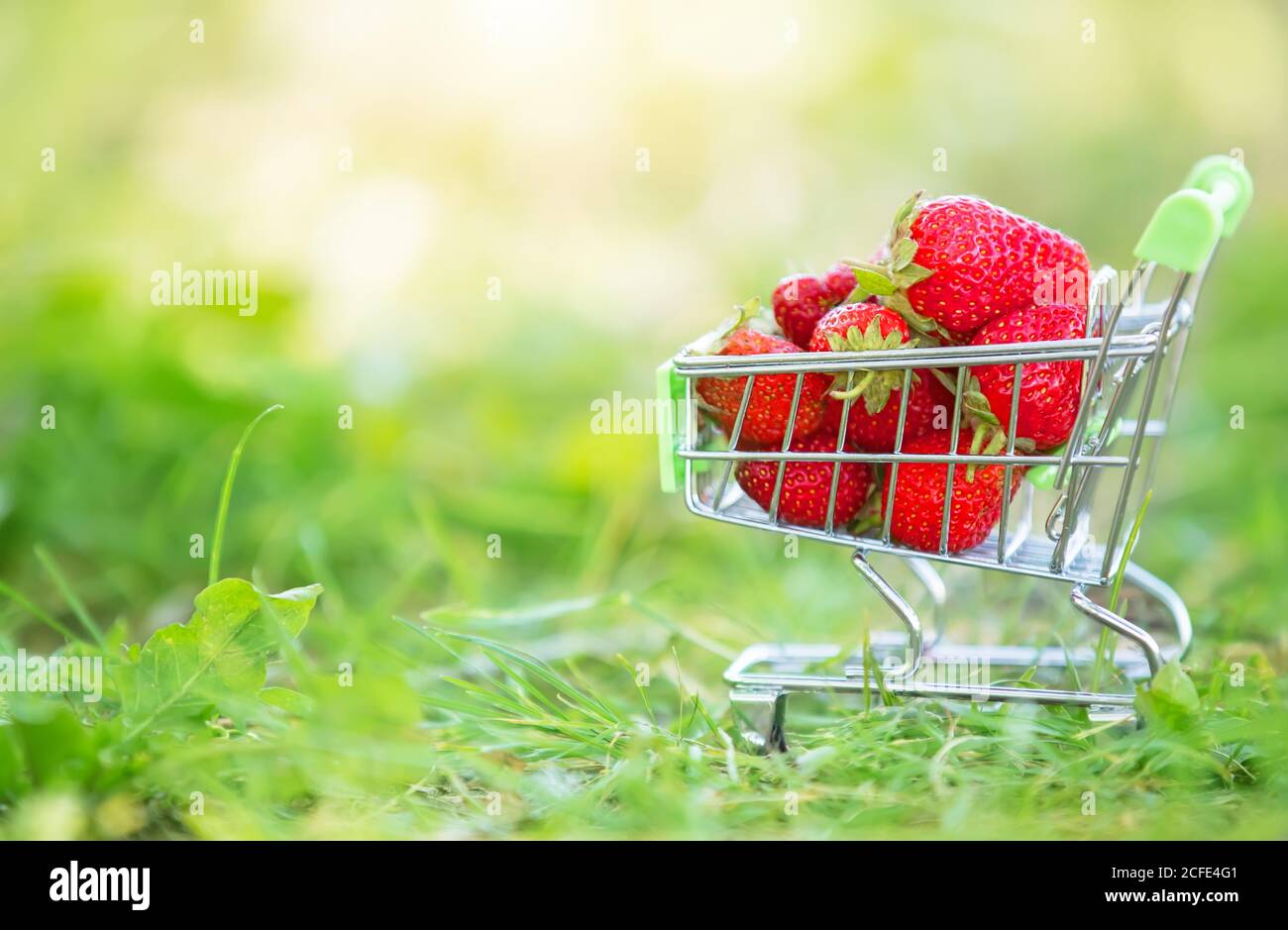 Cart con un supermercato con fragole sull'erba verde. Belle bacche estive. Foto Stock
