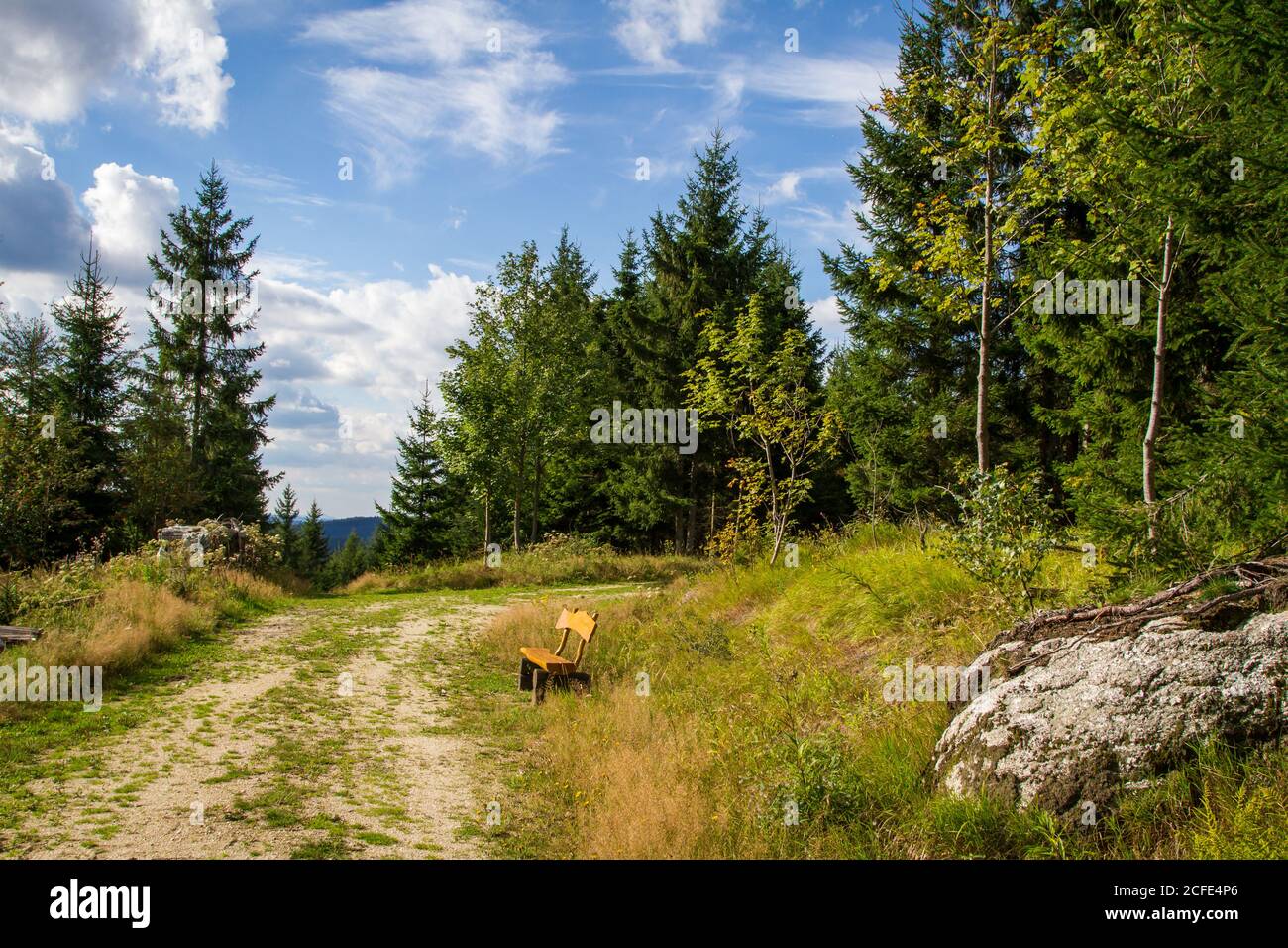 Panchina nella foresta - escursioni intorno a Karlstift, Waldviertel, Austria Foto Stock