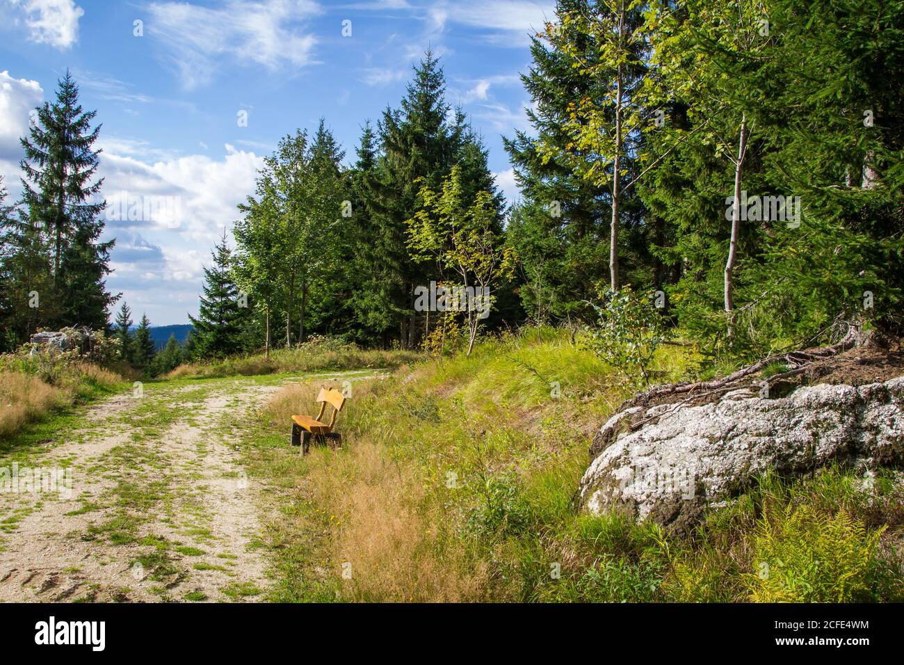 Panchina nella foresta - escursioni intorno a Karlstift, Waldviertel, Austria Foto Stock
