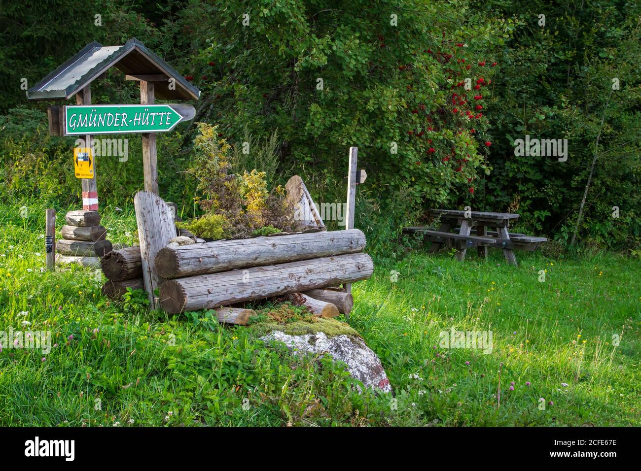Vasca di fiori in legno e segnavia - escursioni intorno a Karlstift, Waldviertel, Austria Foto Stock