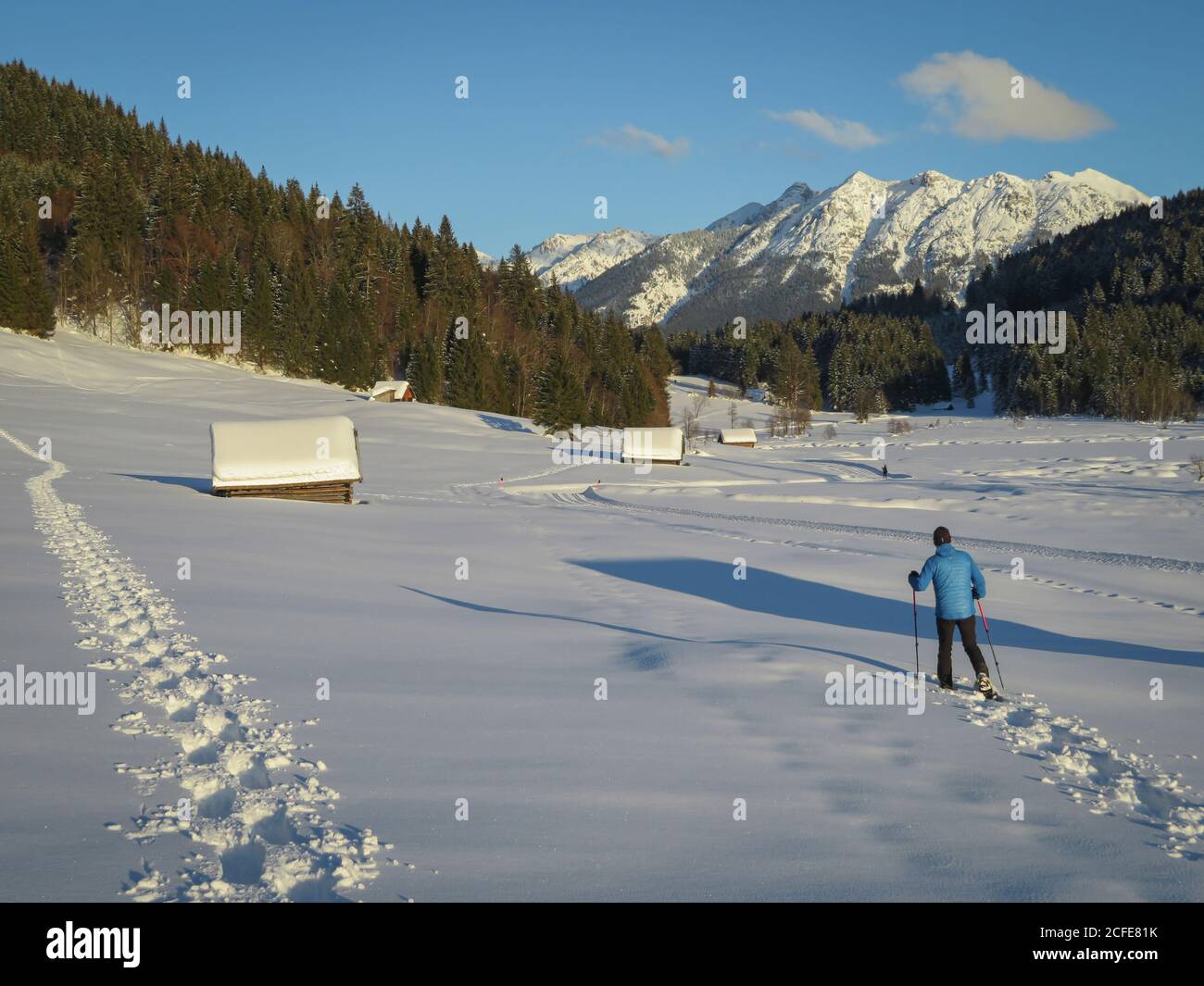 L'uomo cammina con le racchette da neve a Gerold in inverno, guardando verso Soierngebirge (Monti Karwendel), cielo blu, piste da neve, alberi, Bauernstadel, Foto Stock