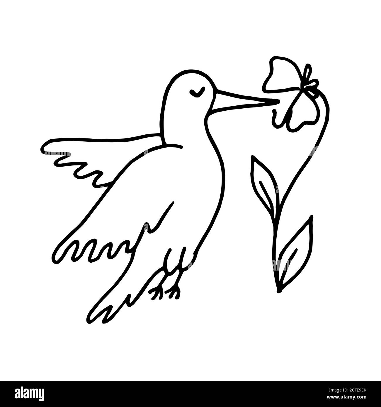 Doodle disegnato a mano piccolo colibrì che vola intorno al fiore. Illustrazione vettoriale isolata in bianco Illustrazione Vettoriale