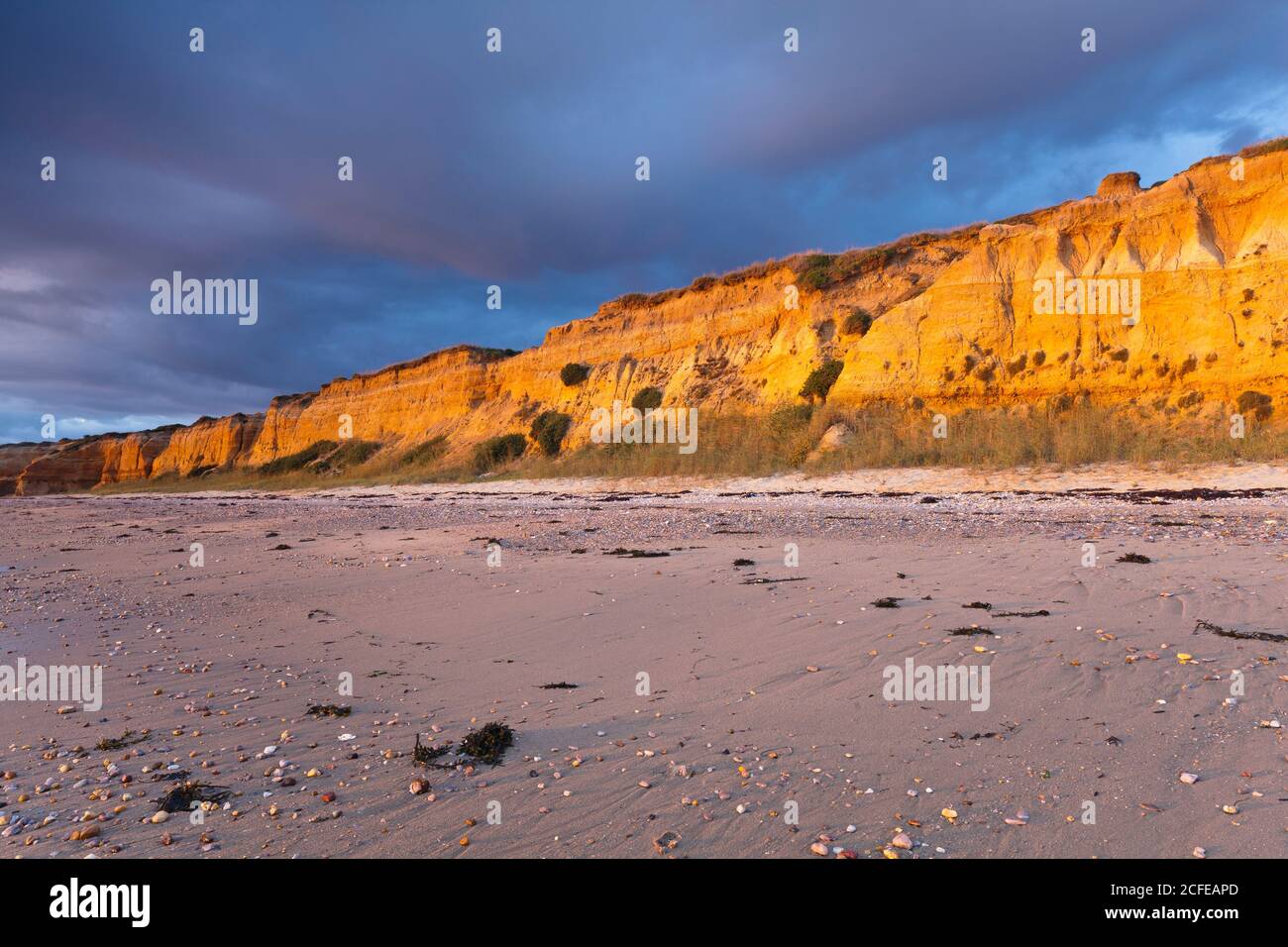 La spiaggia di Penestin Plage de la Mine d'Or presenta una scogliera color ocra. Un prodotto da millenni depositi fluviali. La spiaggia si trova nel vecchio delta Foto Stock