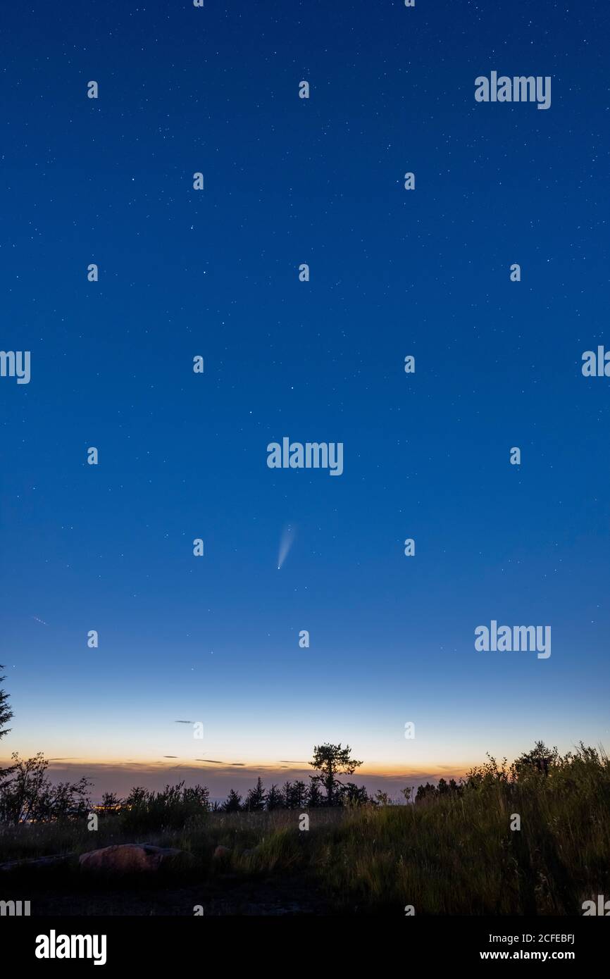 Germania, Baden-Württemberg, Foresta Nera, Hornisgrinde, C / 2020 F3 (NEOWISE) una cometa che è stata osservata nell'estate 2020. Foto Stock