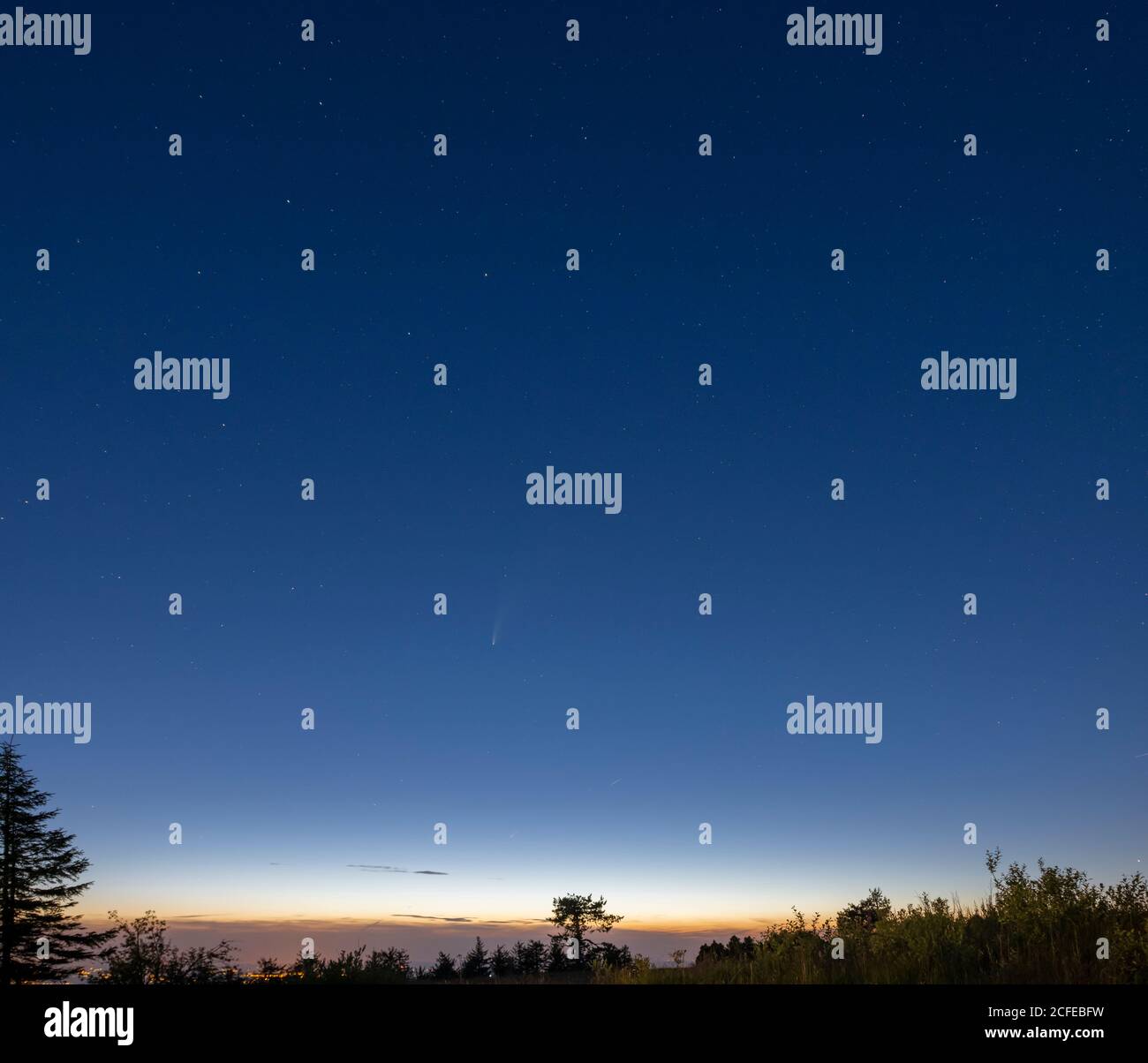 Germania, Baden-Württemberg, Foresta Nera, Hornisgrinde, C / 2020 F3 (NEOWISE) una cometa che è stata osservata nell'estate 2020. Foto Stock