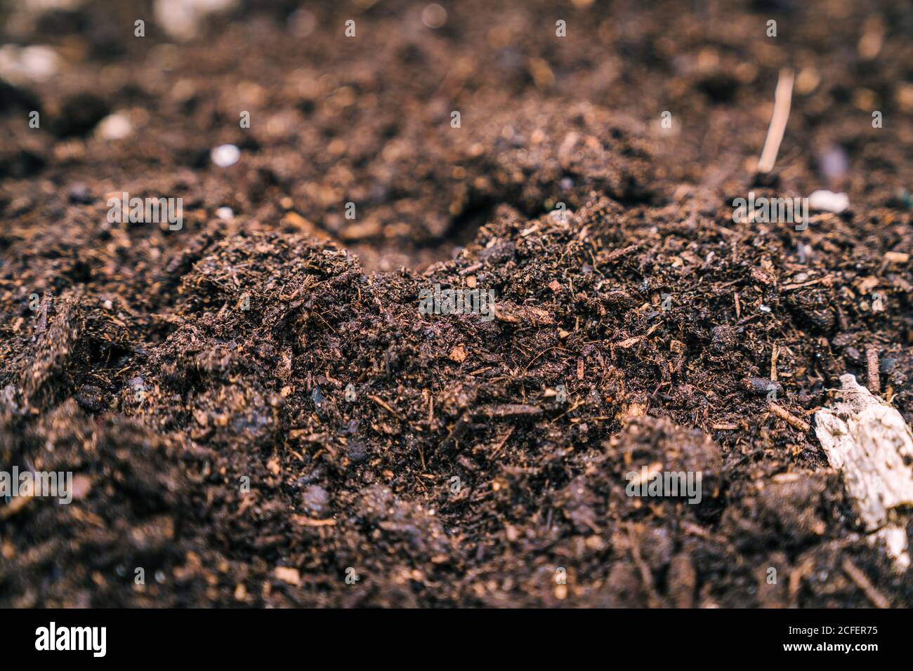 Closeup di terreno fresco asciutto in giardino Foto Stock