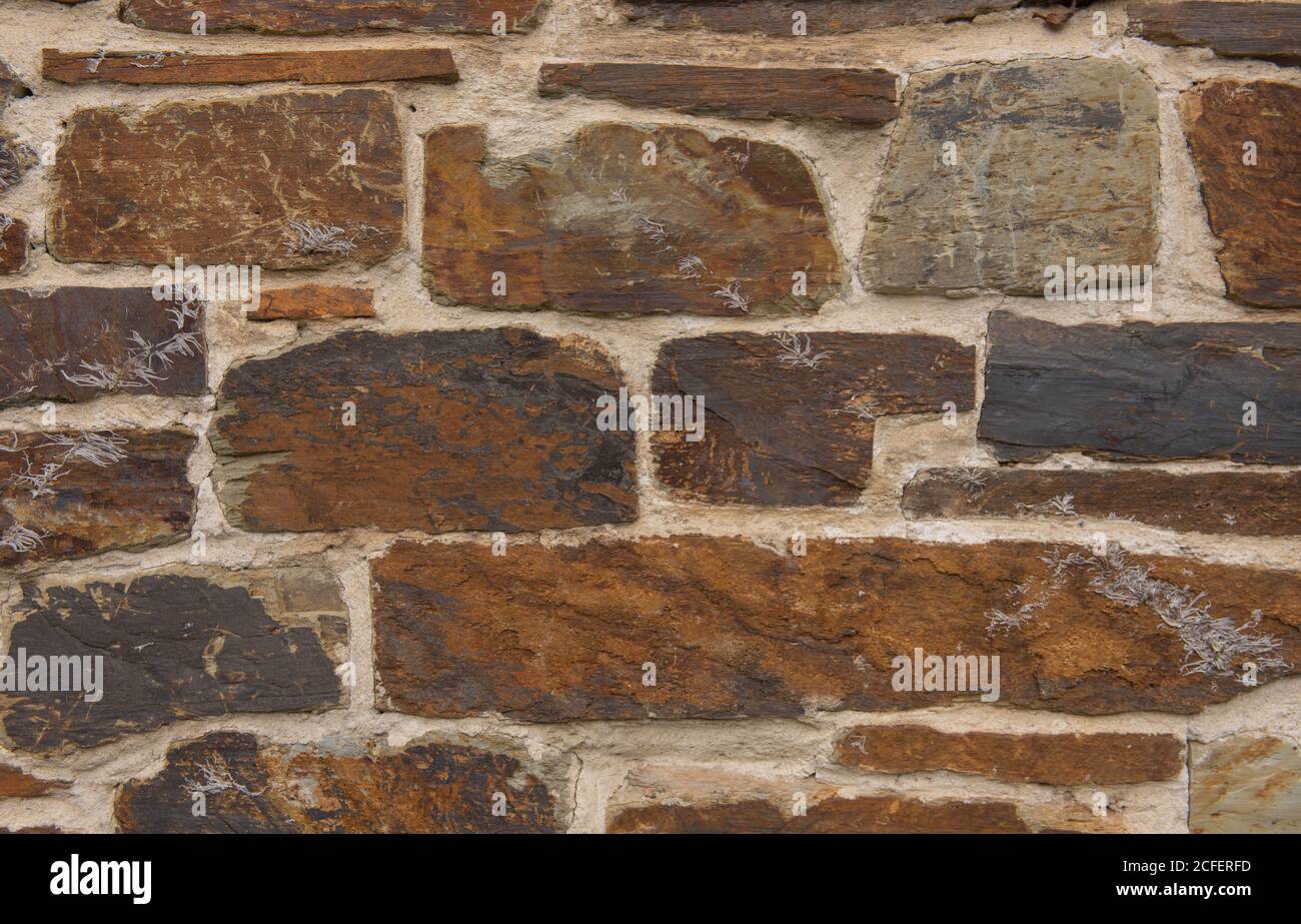 Sfondo o texture di una parete di pietra di granito da un cottage tradizionale di campagna del Devonian in Devon rurale, Inghilterra, Regno Unito Foto Stock