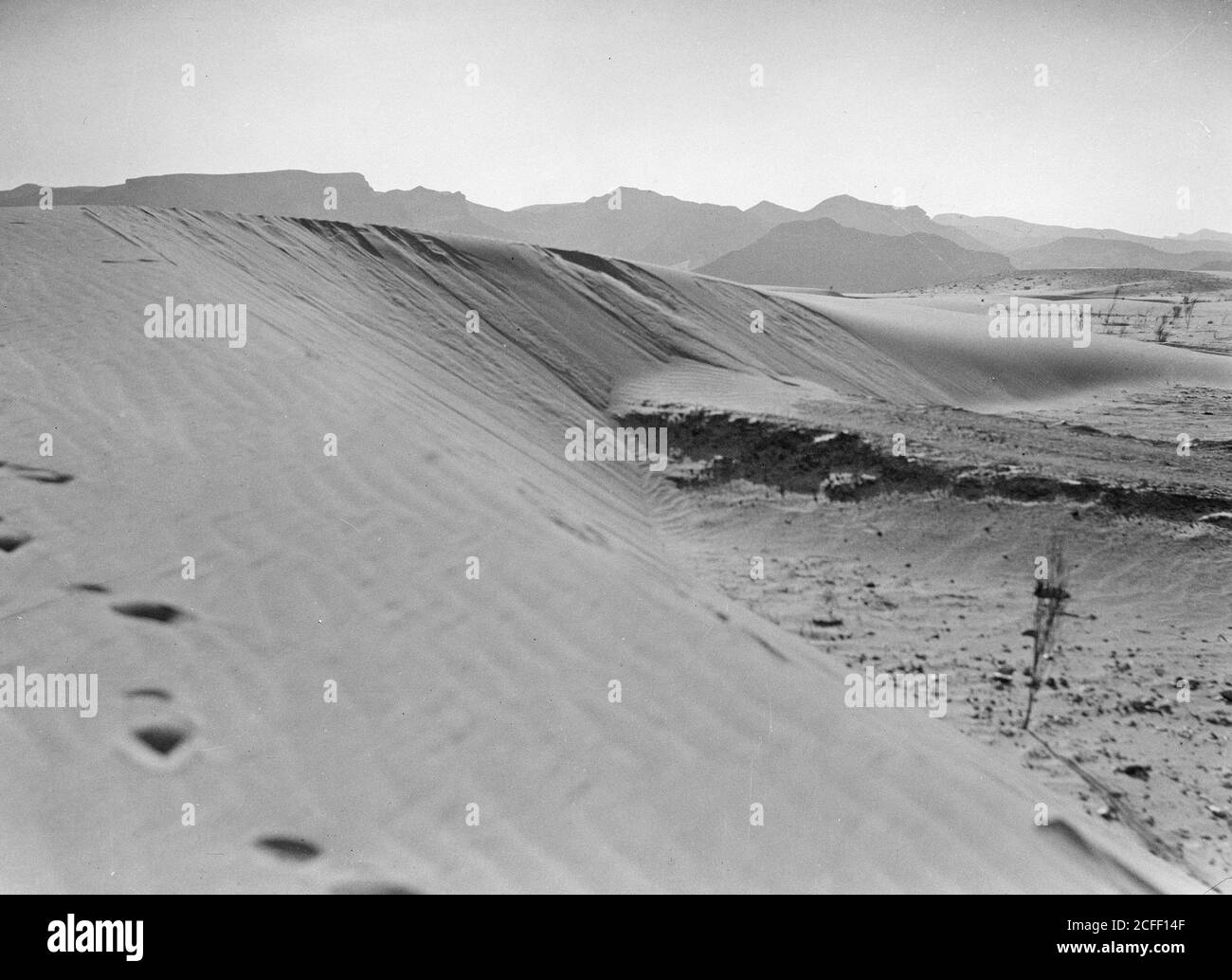 Storia del Medio Oriente - Agricoltura in Egitto. Strada bloccata con dune di sabbia costringendo le auto a trovare un percorso tortuoso intorno alle dune per raggiungere la strada oltre Foto Stock
