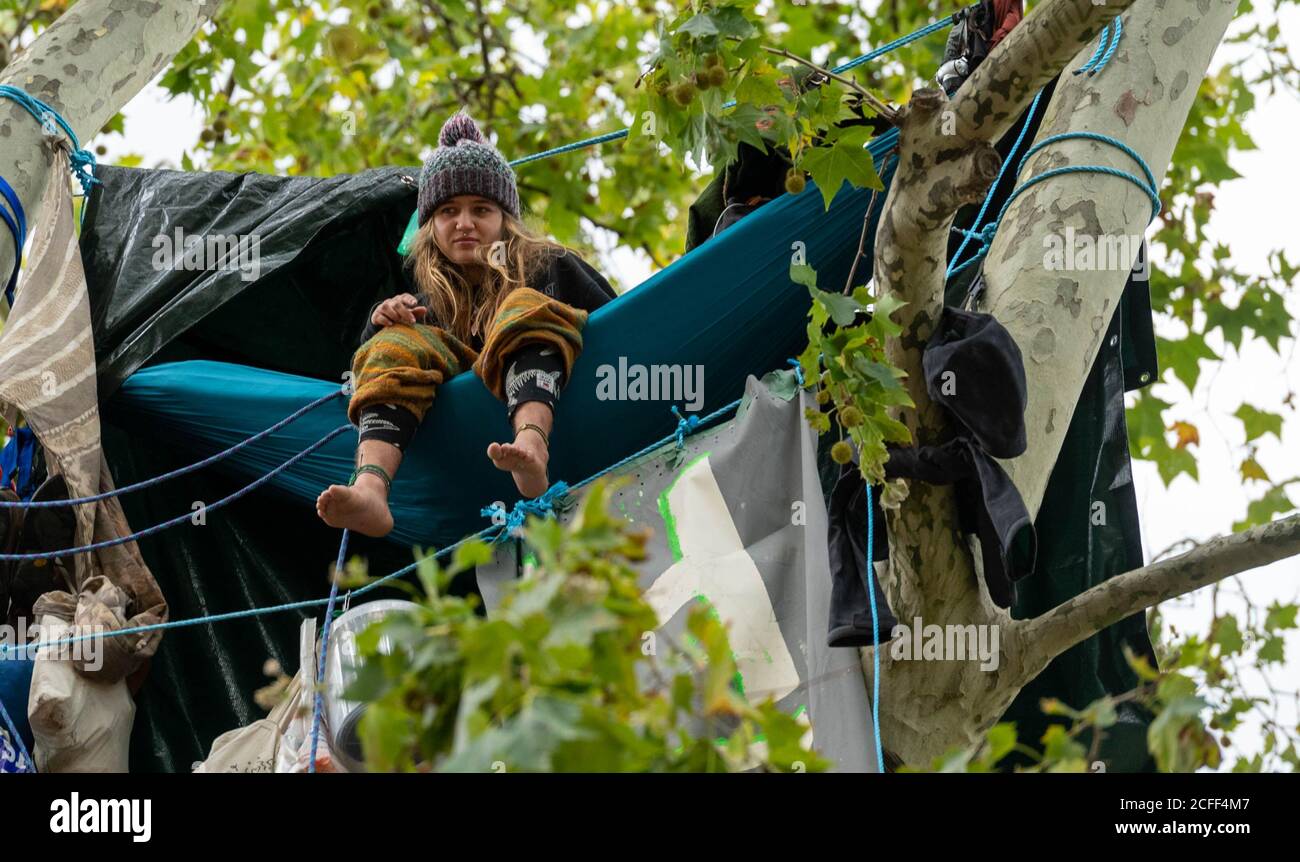 Londra, Regno Unito. 5 Settembre 2020. Manifestanti ambientali hanno istituito un campo in alto negli alberi in Parliament Square London UK Credit: Ian Davidson/Alamy Live News Foto Stock