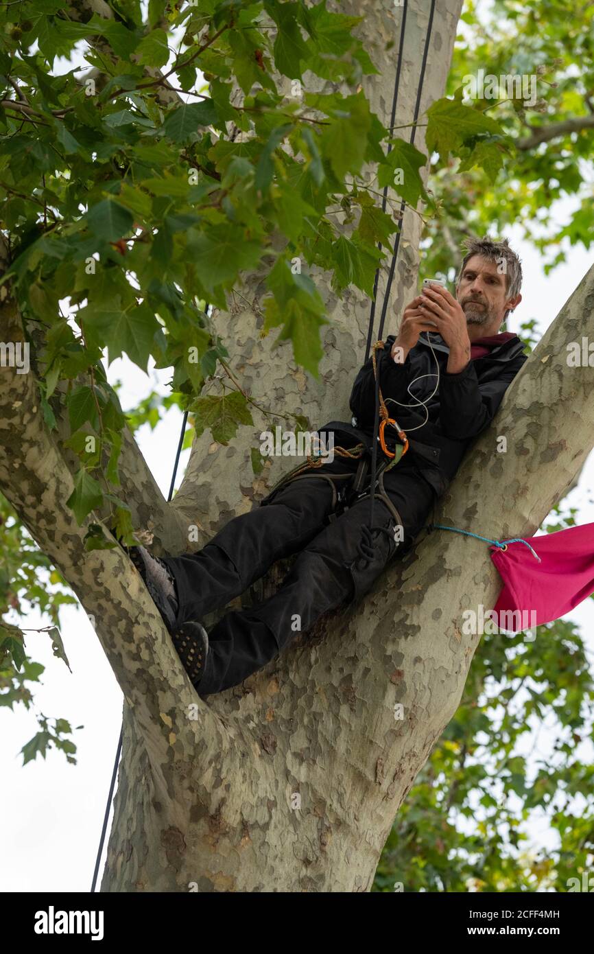 Londra, Regno Unito. 5 Settembre 2020. Manifestanti ambientali hanno istituito un campo in alto negli alberi in Parliament Square London UK Credit: Ian Davidson/Alamy Live News Foto Stock