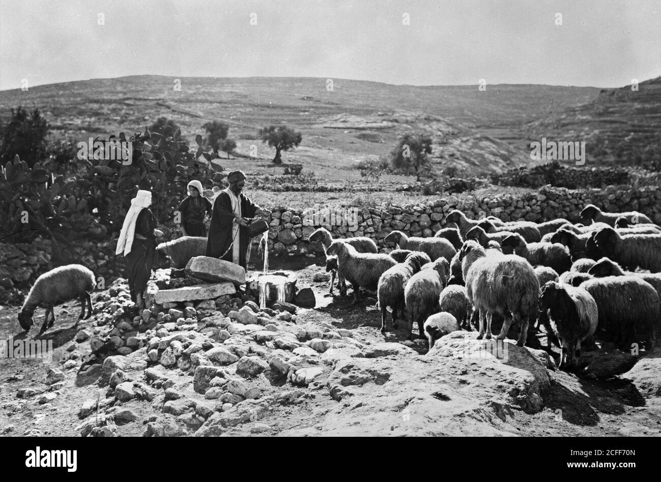 'Middle East History - insieme di tredici diapositive selezionate della vita pastorello che illustrano il ventitreesimo Salmo. 'La mia tazza runneth over'' Foto Stock