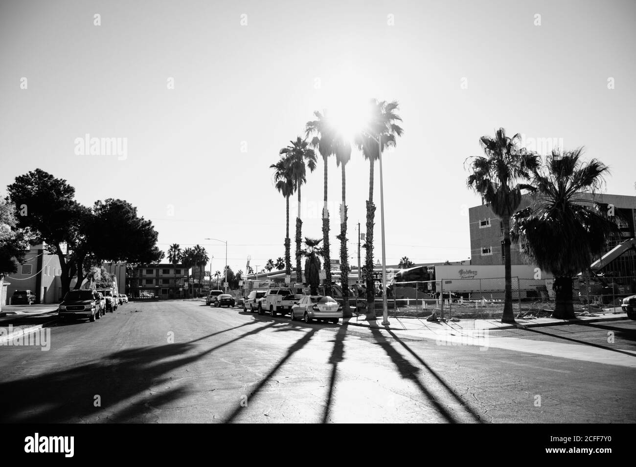 Strada con case e automobili e palme vicino strada di Spiaggia di Venezia in USA in giornata di sole Foto Stock