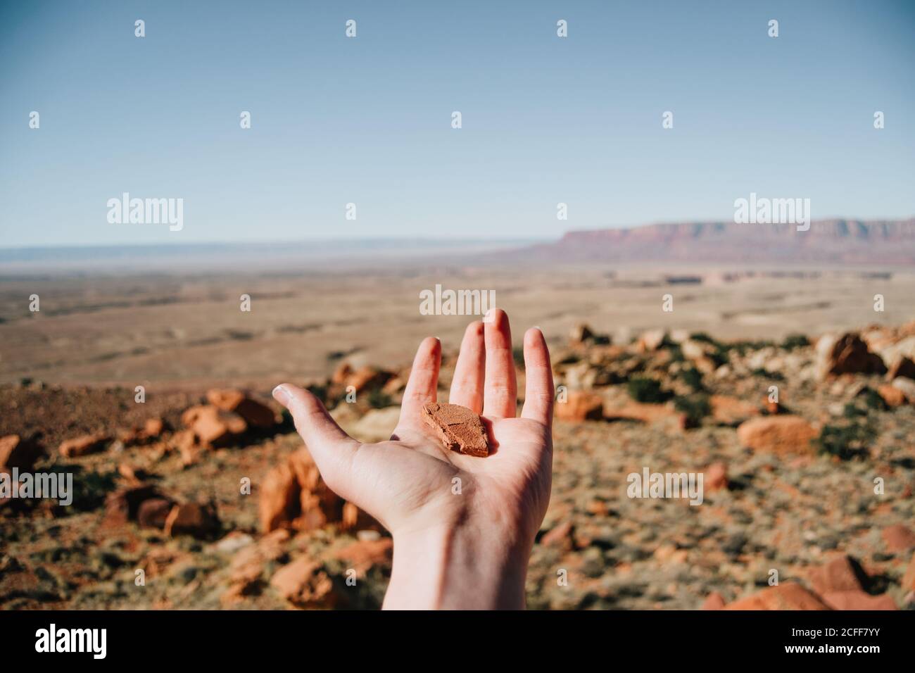 Dall'alto del turista raccolto con pietra in mano esplorando deserto con dune gialle sotto il sole luminoso Foto Stock