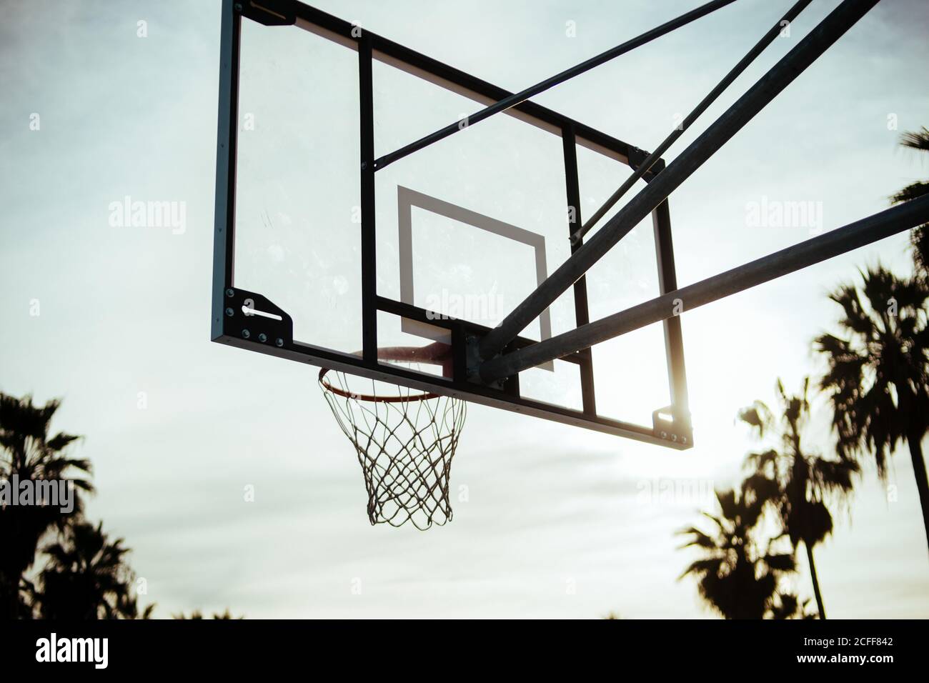 Da sotto stand di basket in metallo e rete ad anello in un parco esotico alla luce del sole nella spiaggia di Venezia, USA Foto Stock