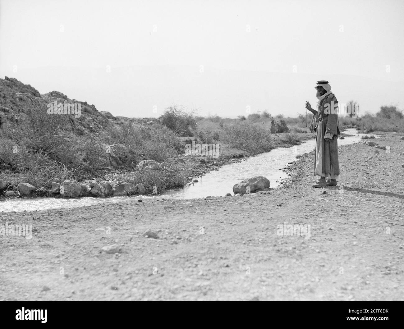 Storia del Medio Oriente - lungo la Valle del Giordano dal Mare di Galilea al Mar Morto. Wady Fara'a. Affluente del Giordano dalle colline di Samaria Foto Stock