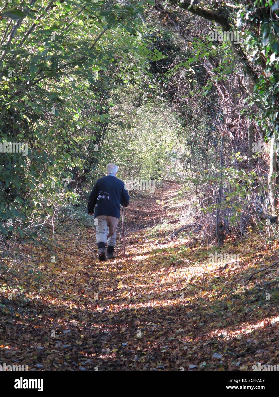 Pensionato maschile che cammina nei Chilterns, vicino a Radnage, Inghilterra, Regno Unito Foto Stock