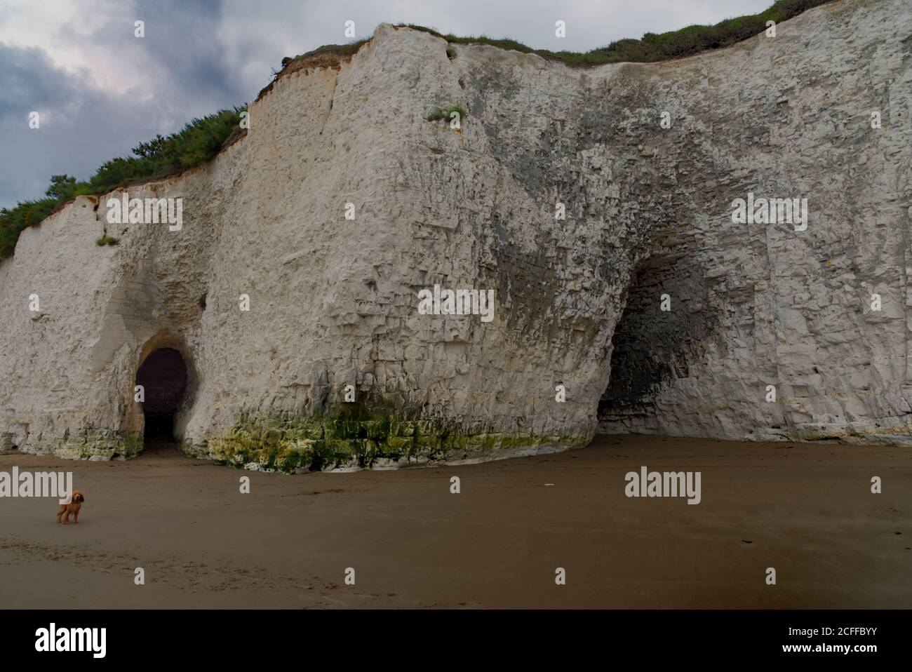 Bianche scogliere con grotte Foto Stock
