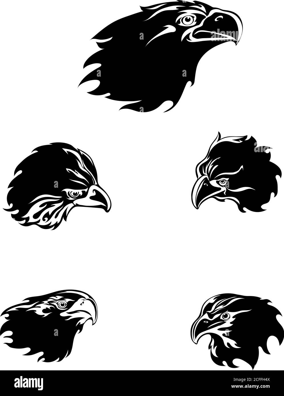 aquila, aquila, uccello, ali, piume, piuma, mosca, volo, testa, occhi, occhi, becco, ali, coda, predatore, selvatico, occhi, vettore, vettore, grafico Illustrazione Vettoriale