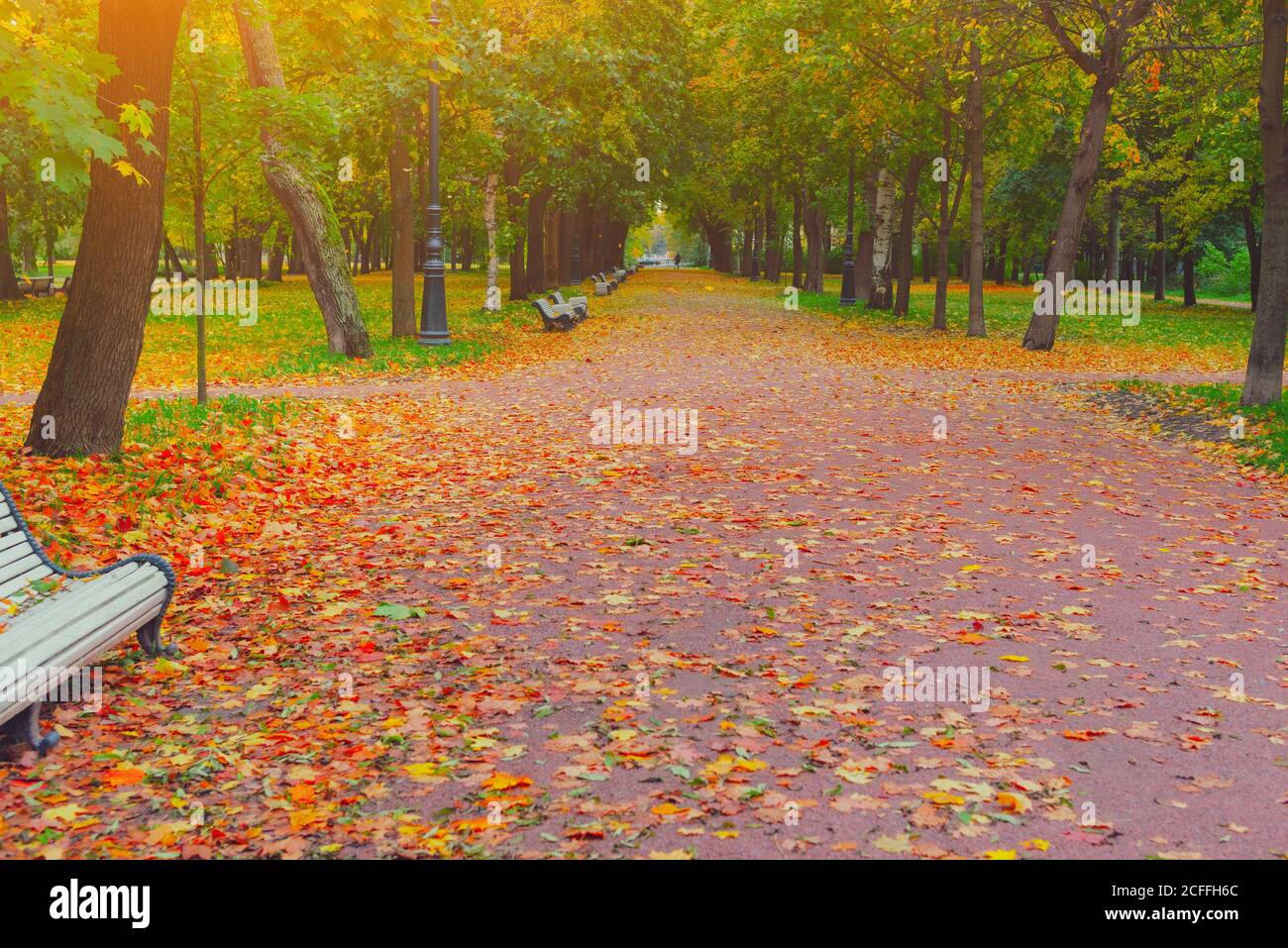 Autunnale parco vicolo strada nel paesaggio della città. Persone che camminano sul sentiero nel parco autunnale con foglie e alberi nel tempo di ottobre. Autunnale bellezza scena autunno. Foto Stock