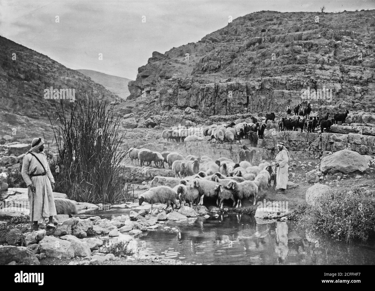 'Middle East History - insieme di tredici diapositive selezionate della vita pastorello che illustrano il ventitreesimo Salmo. ''mi conduce in sentieri di giustizia''' Foto Stock