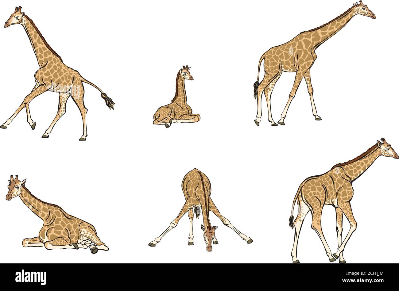 giraffe, figura, nero, animale, illustrazione, simbolo, vettore, disegno, disegno, bestia, zoo, immagine, isolato, linea, mammifero, spotty, safari, collo Illustrazione Vettoriale