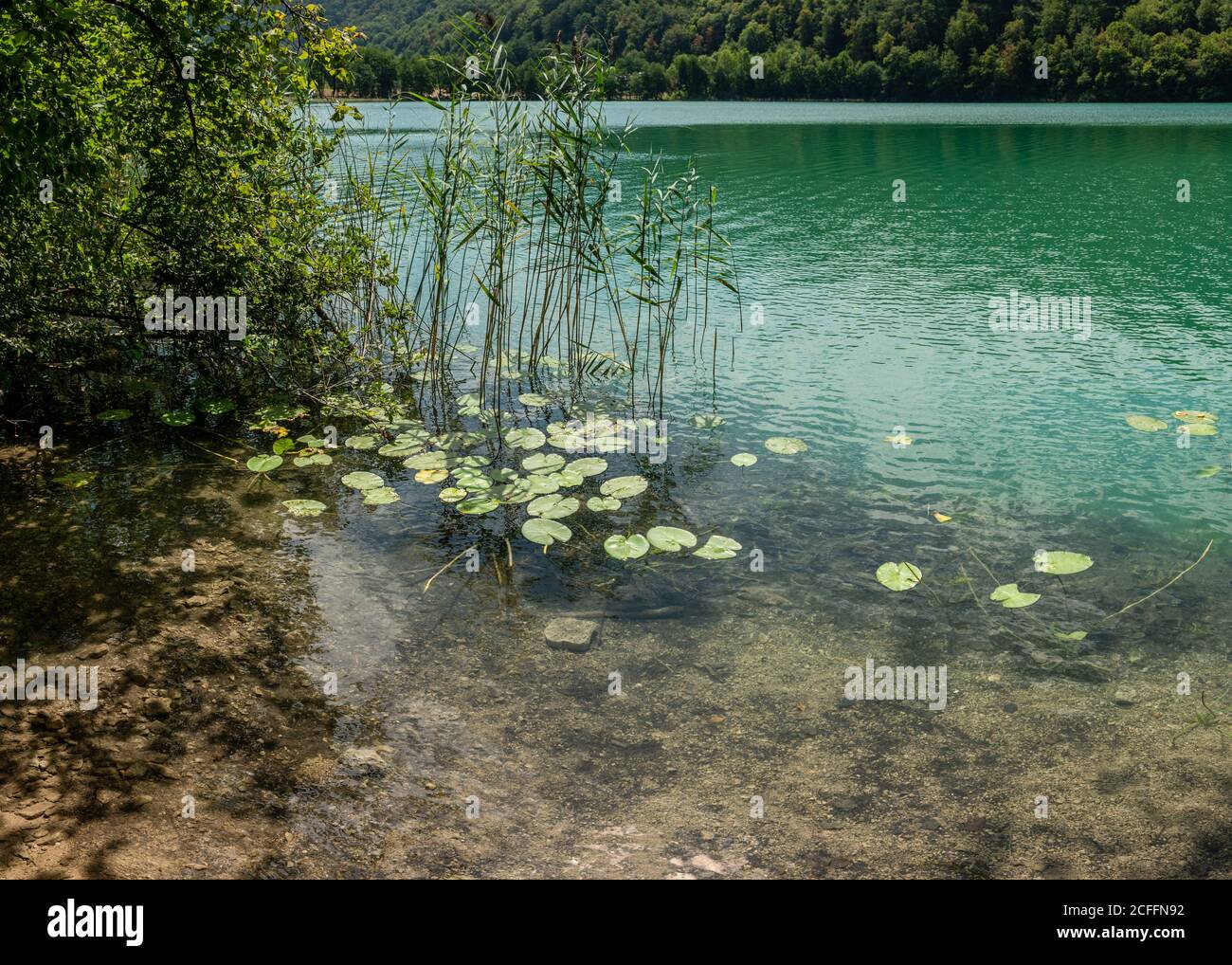 Acque cristalline di Lac du Val, Giura, Francia Foto Stock