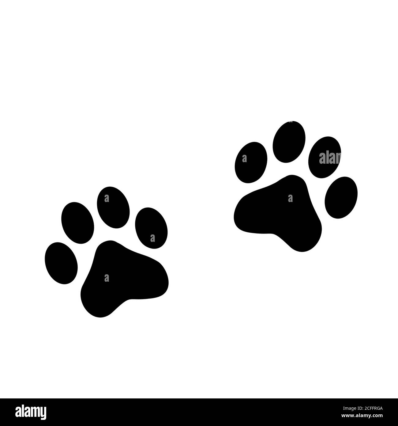Paw stampa PET Foto Stock