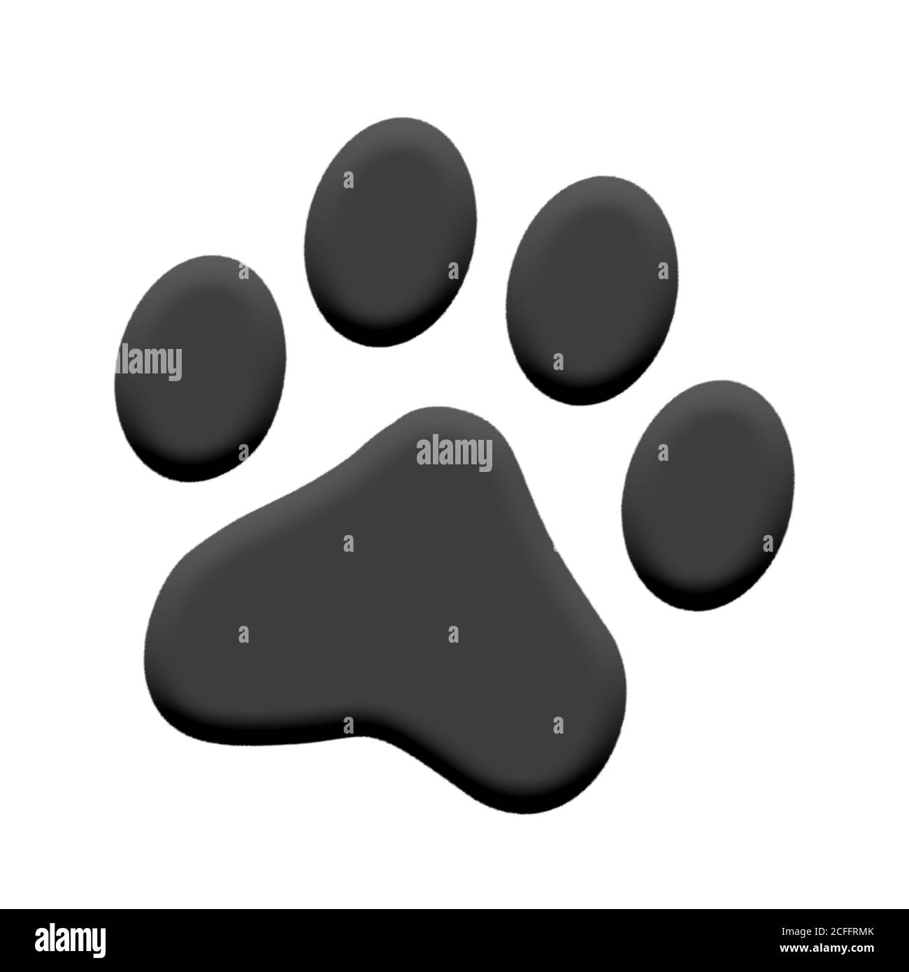 Paw stampa PET Foto Stock