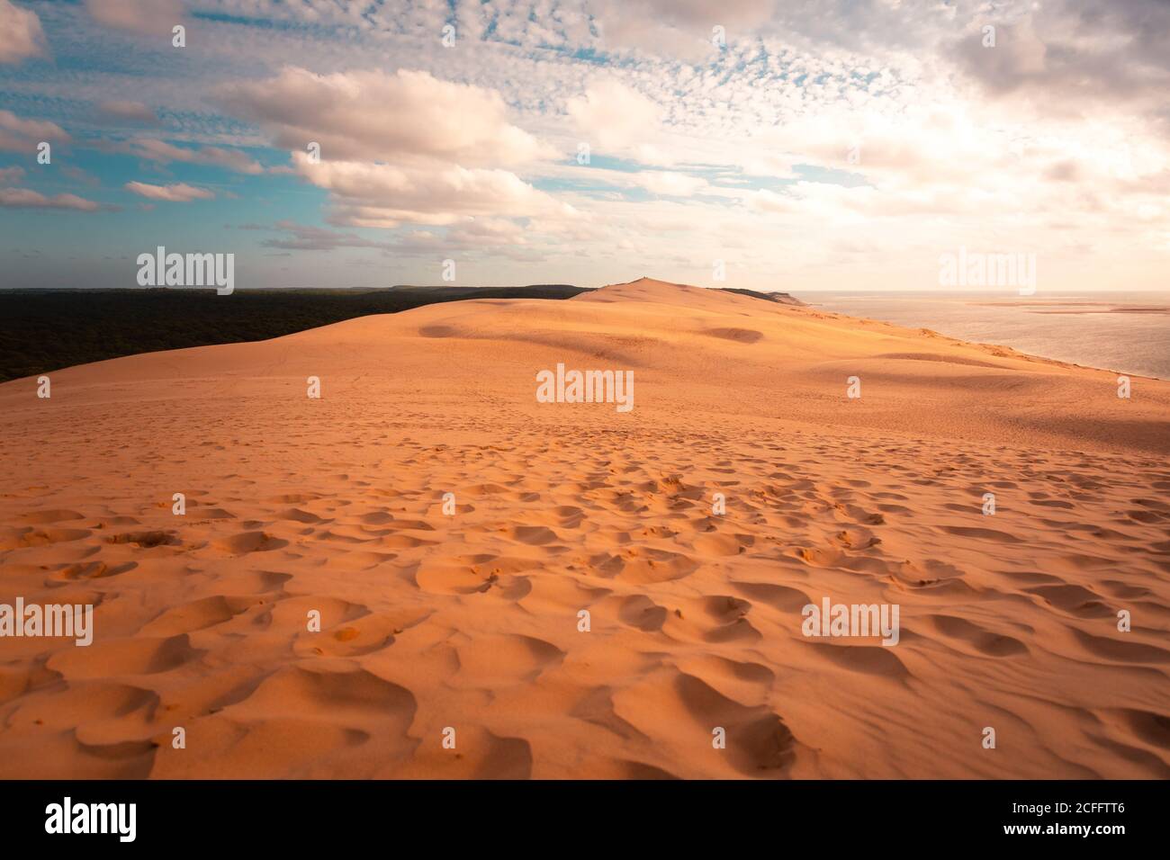 La grande Duna di Pilat, la più alta duna d'Europa ad Arcachon, Aquitania, Francia. Foto Stock